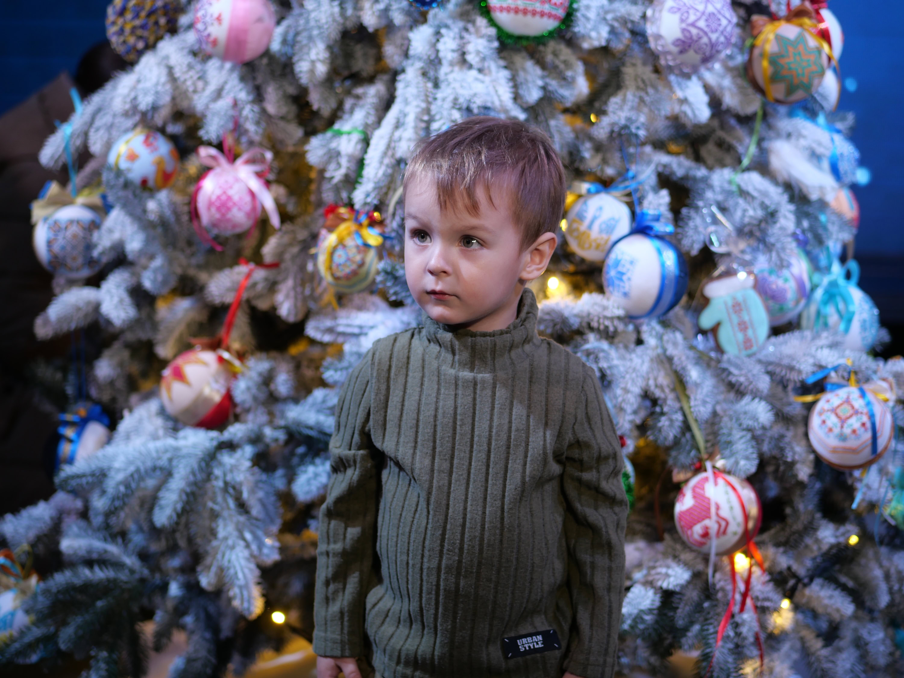 Незламна ялинка: в Запоріжжі презентували головний символ зимових свят – ФОТОРЕПОРТАЖ