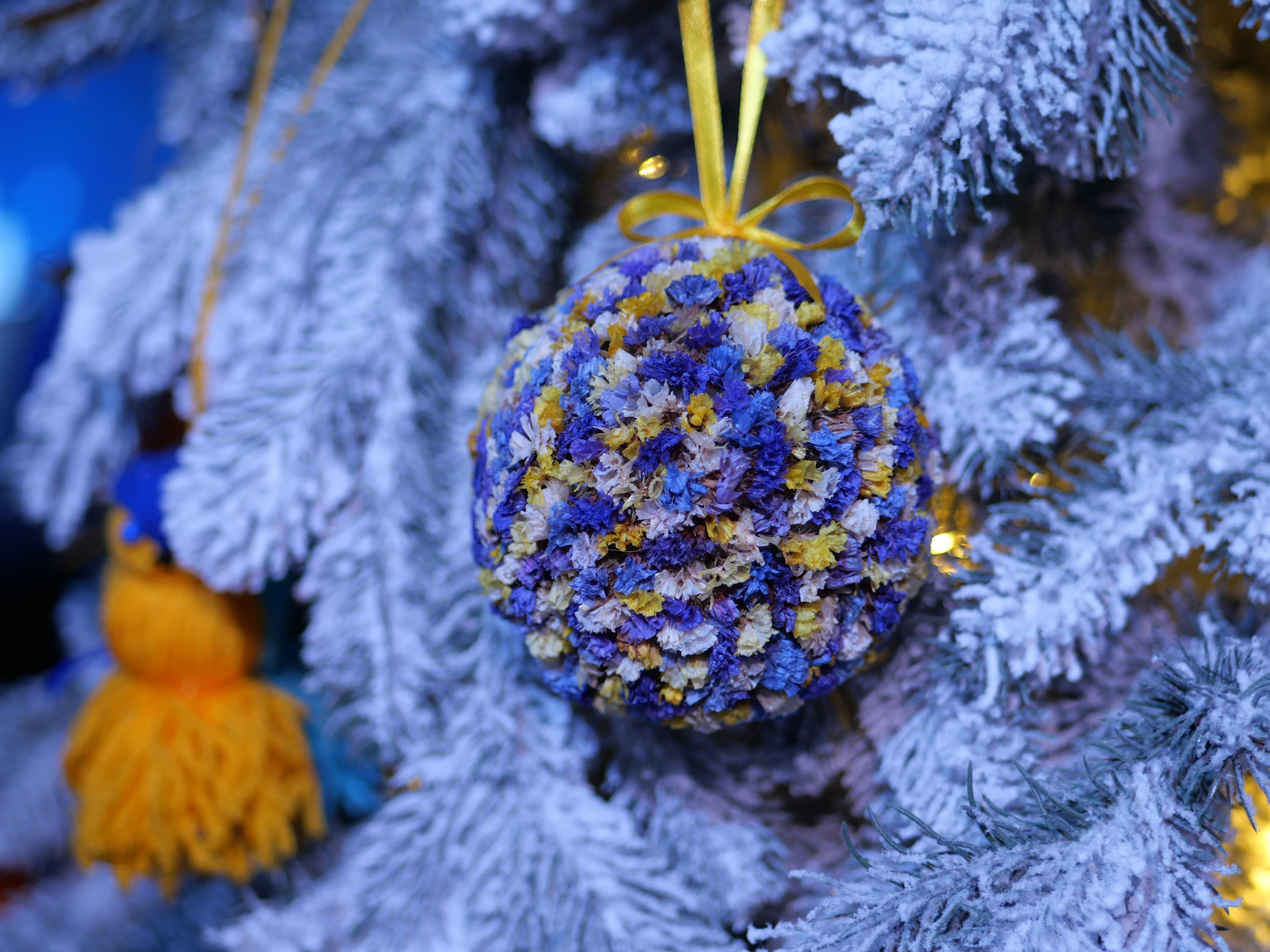 Незламна ялинка: в Запоріжжі презентували головний символ зимових свят – ФОТОРЕПОРТАЖ