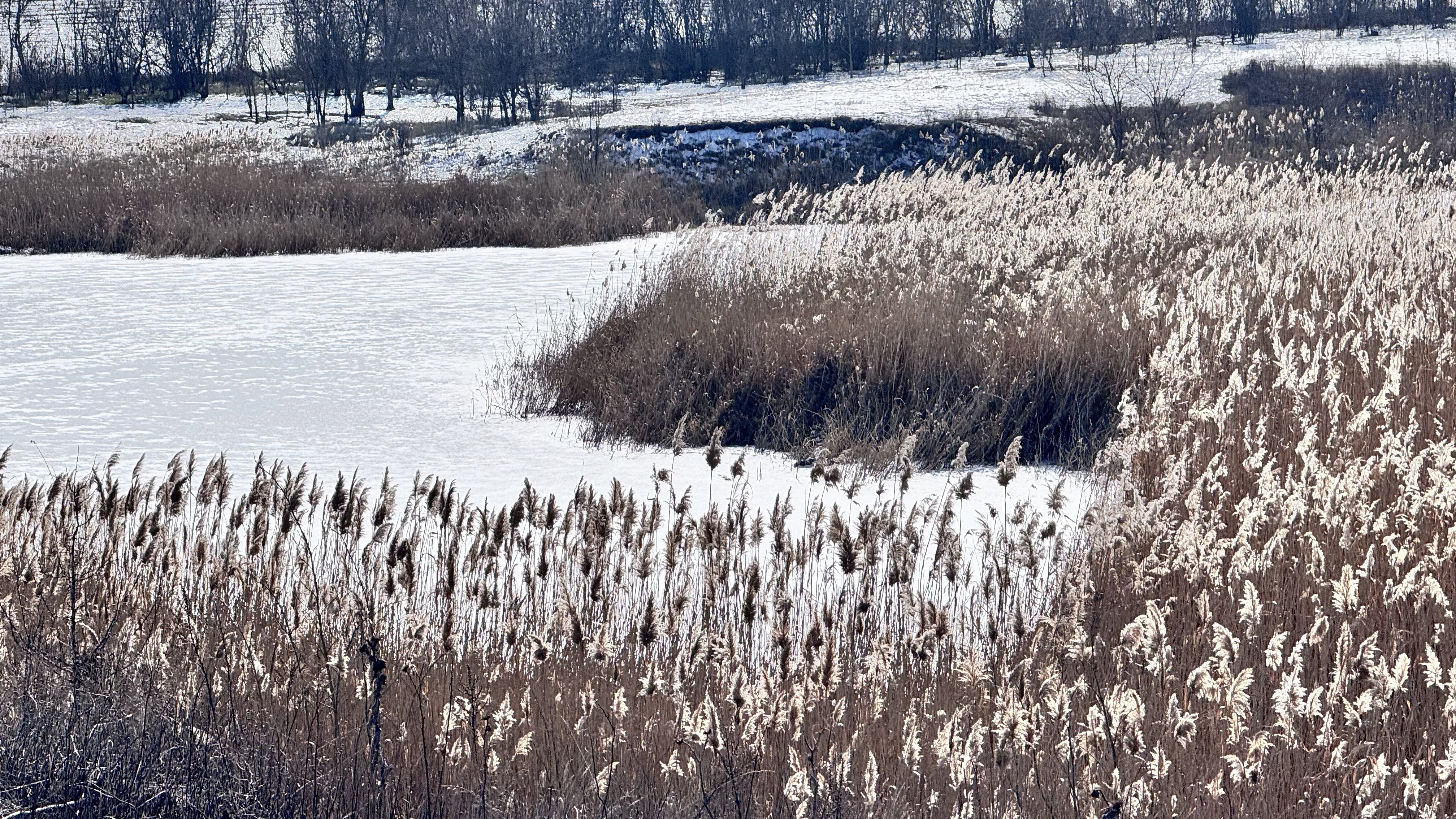 ЕкоЗагроза та сміття: стихійні сміттєзвалища Тернуватської громади та що з ними робити