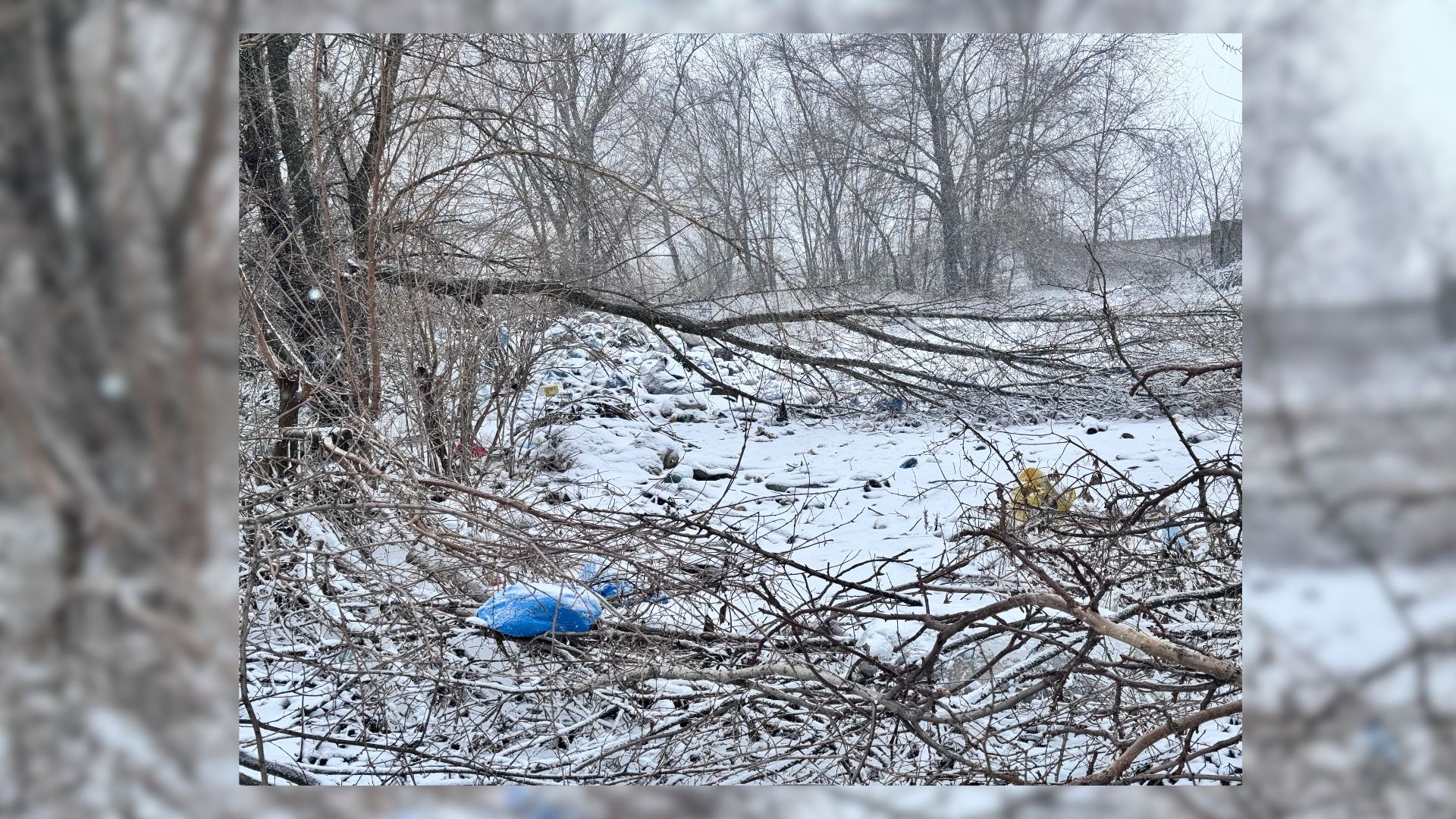 ЕкоЗагроза та сміття: стихійні сміттєзвалища Тернуватської громади та що з ними робити