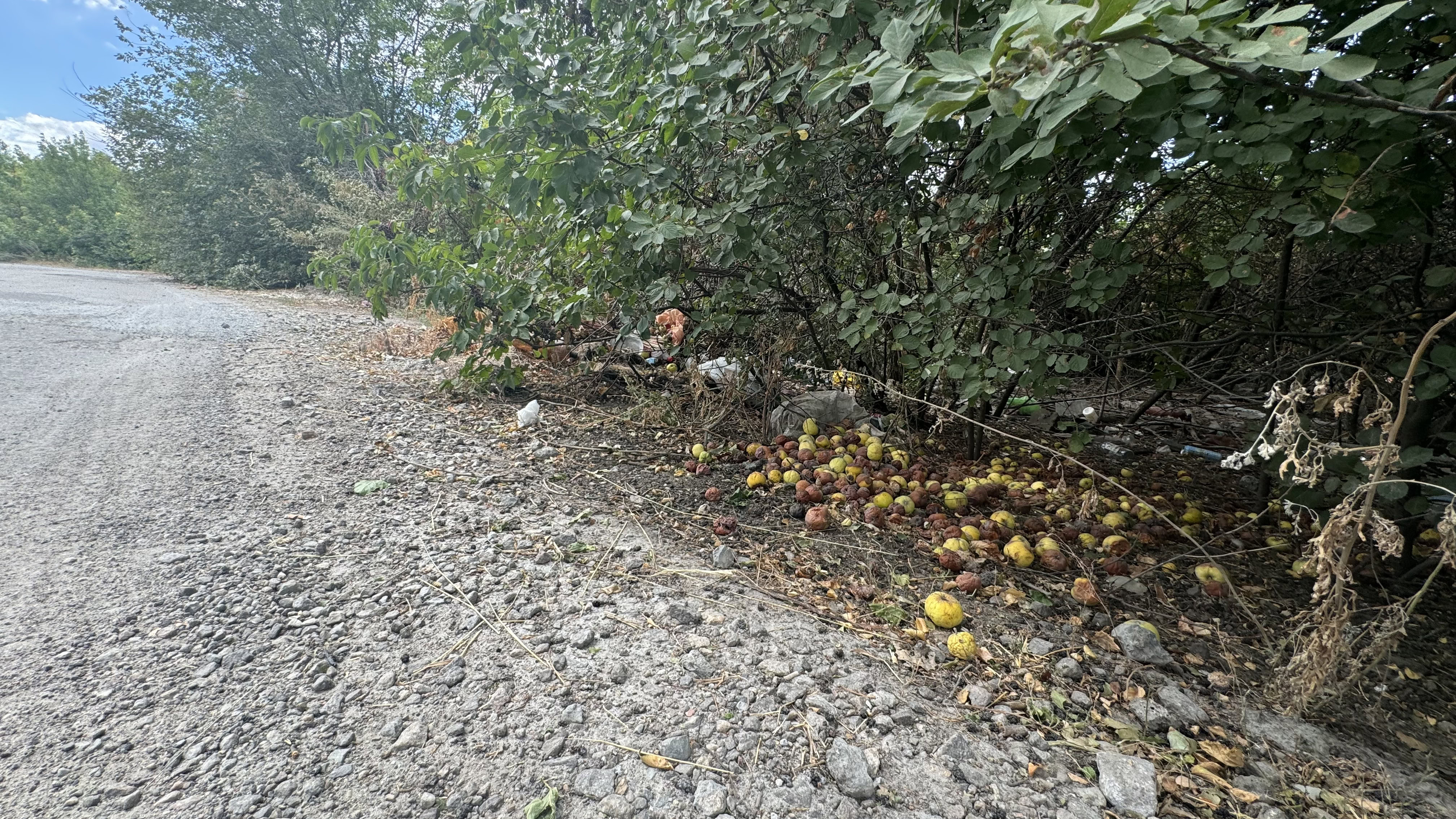 ЕкоЗагроза та сміття: стихійні сміттєзвалища Тернуватської громади та що з ними робити