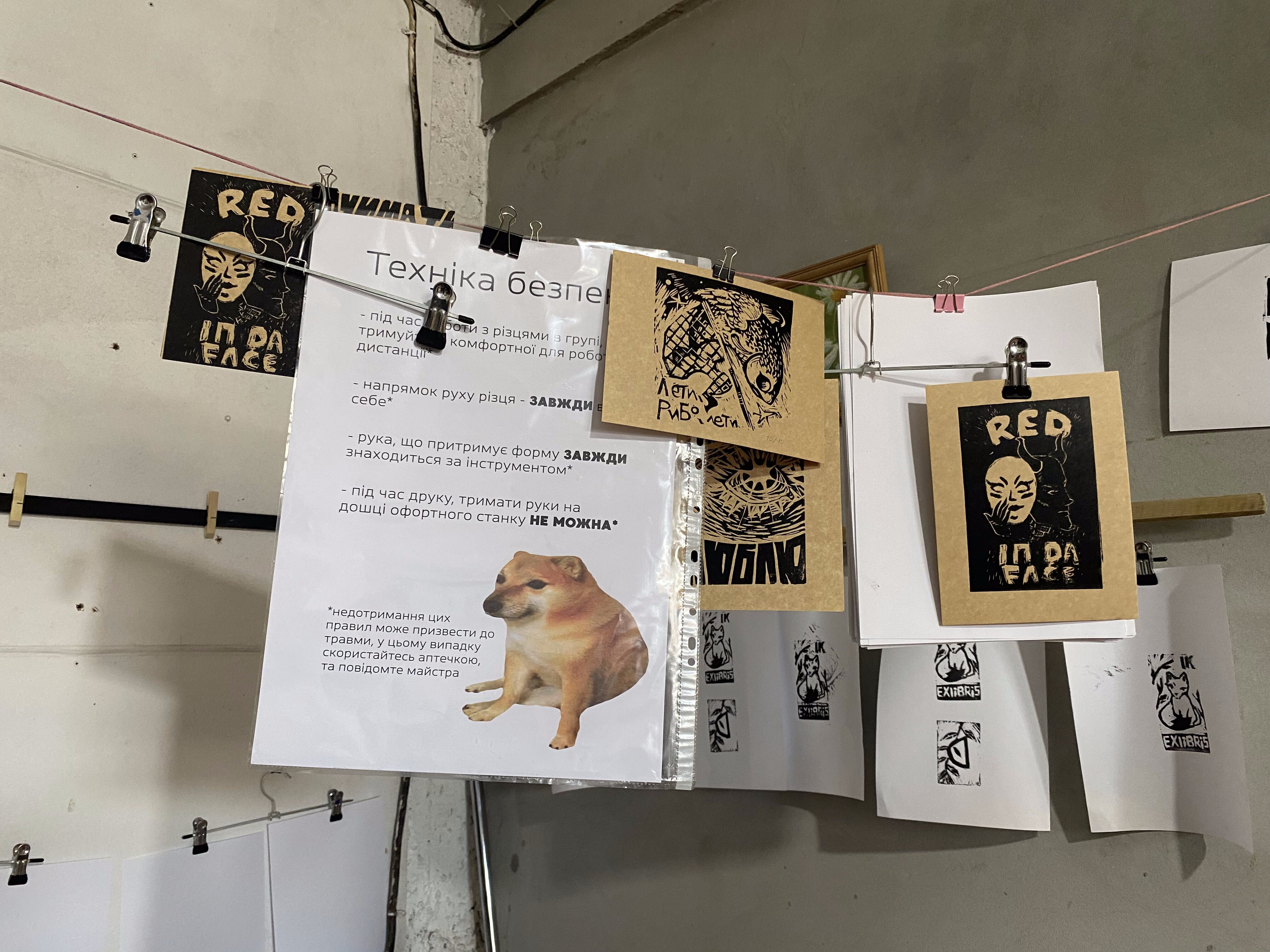 Музика, мистецтво і смачні хот-доги: як пройшов Shevchenko Rave в Запоріжжі