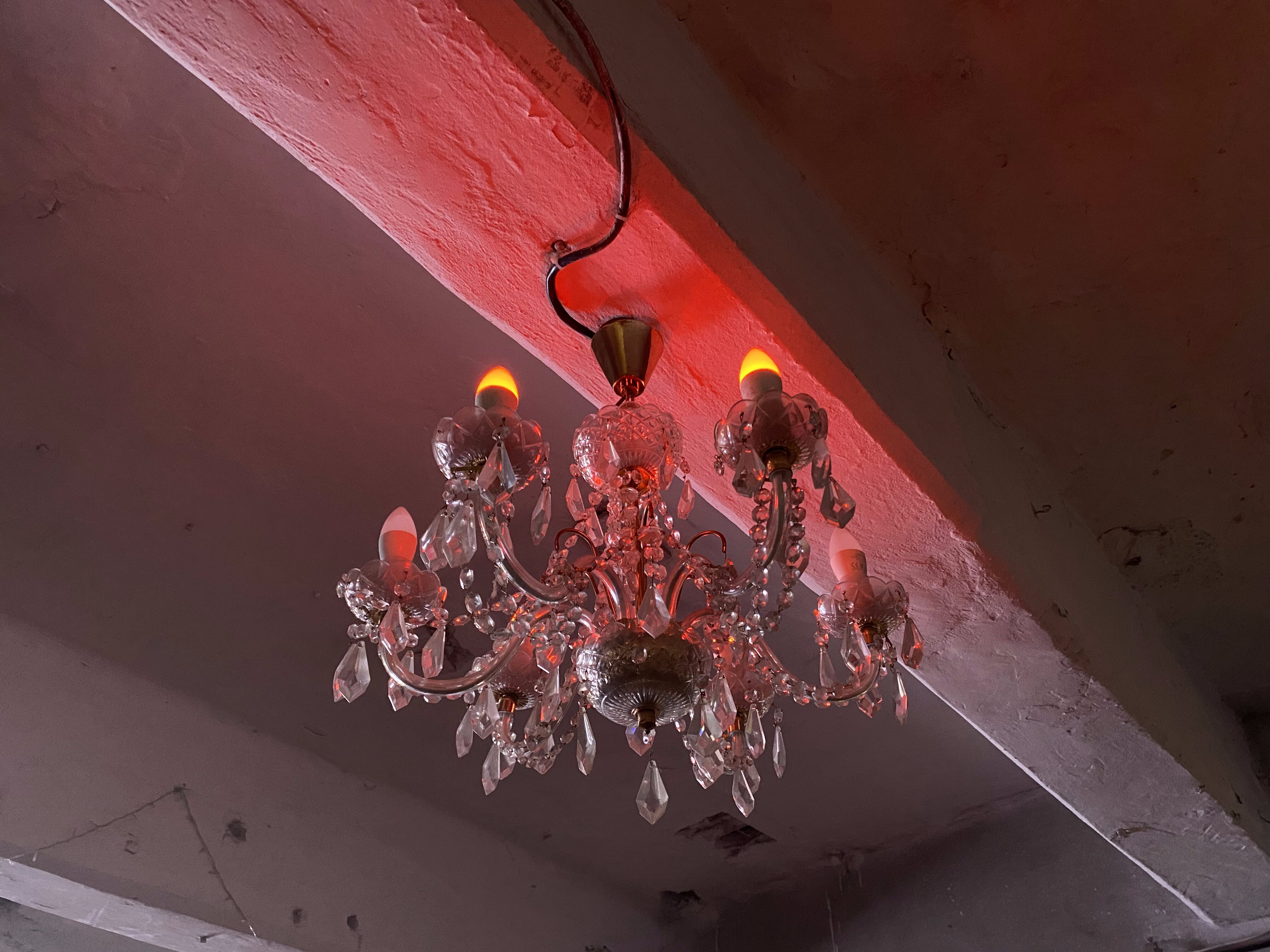 Музика, мистецтво і смачні хот-доги: як пройшов Shevchenko Rave в Запоріжжі