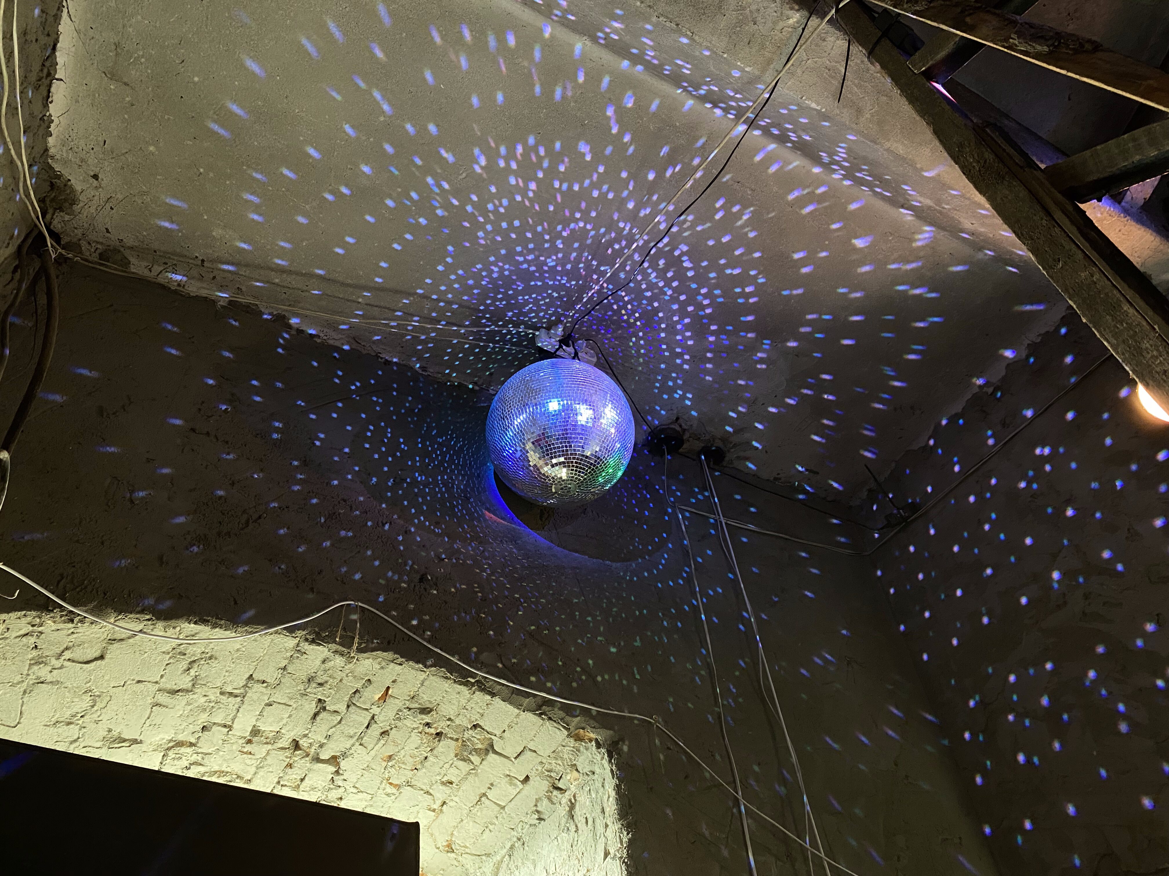 Музика, мистецтво і смачні хот-доги: як пройшов Shevchenko Rave в Запоріжжі