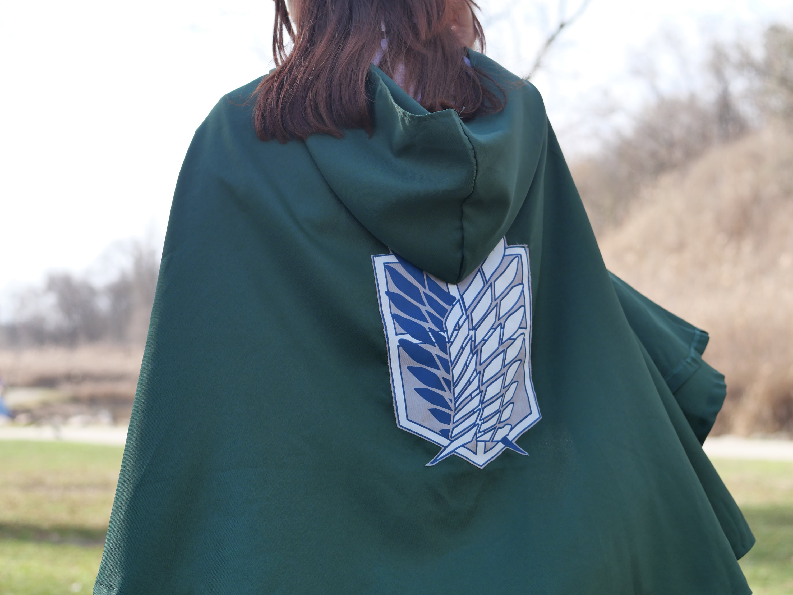 Перевтілення, творчість, спілкування: як косплей-ком’юніті Запоріжжя зустріло весну