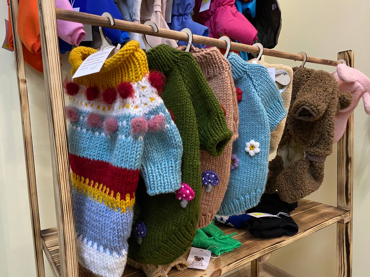 Коти, собаки та їхні люди: місце зустрічі – Yoda Star Pets