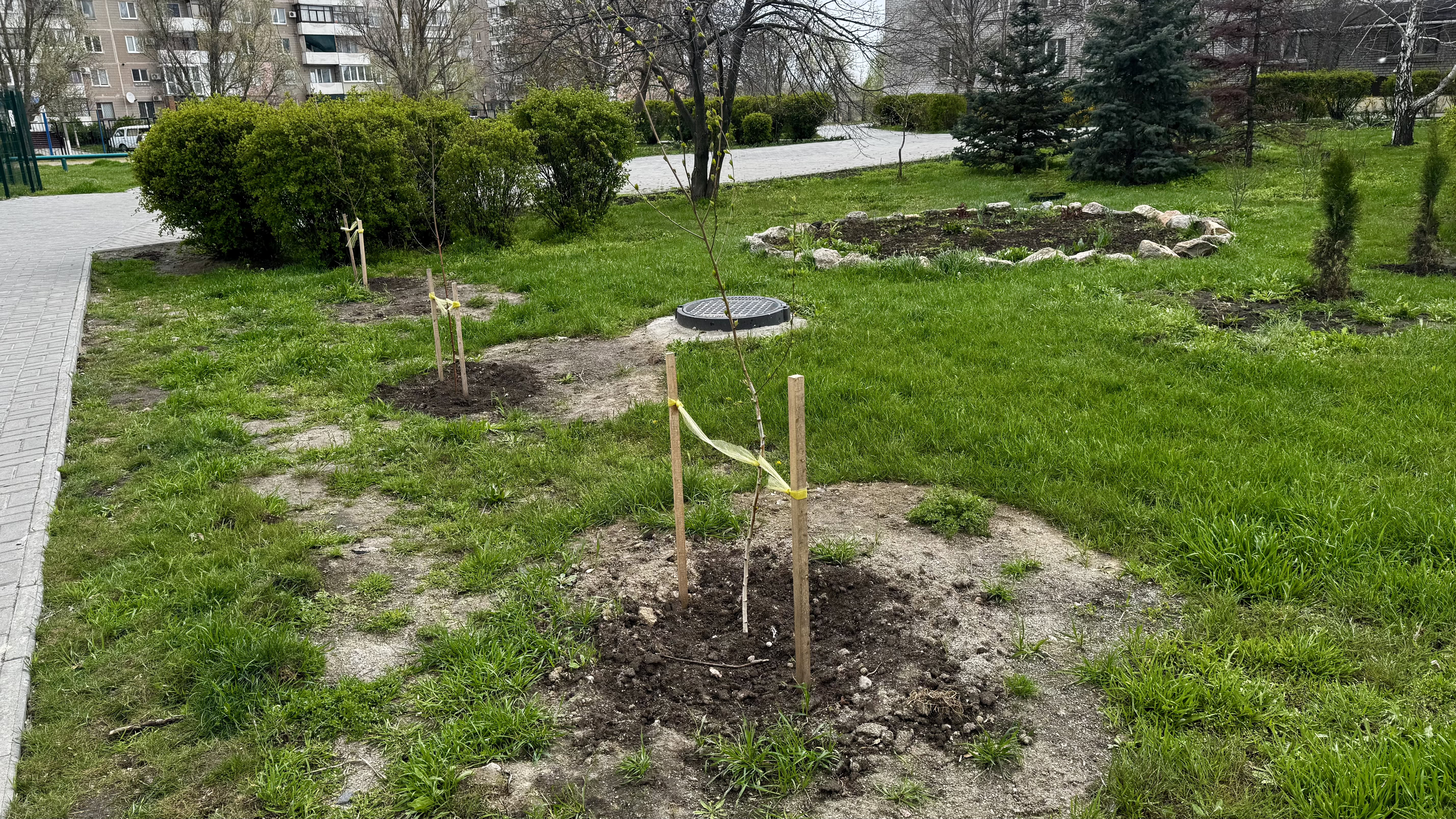 Вісім місяців змішаного навчання в гімназії №110