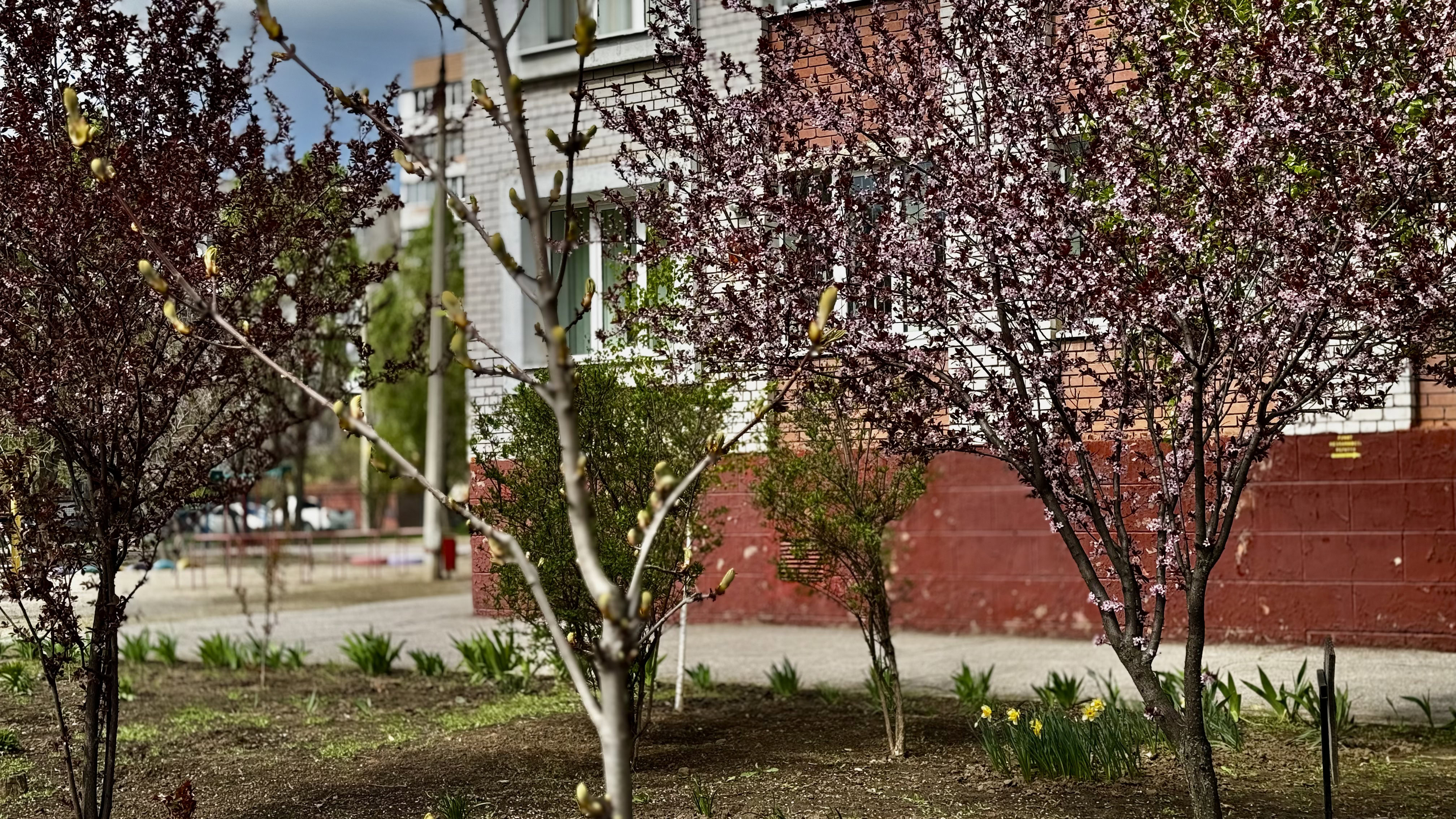 Умови та безпека: четвертий тиждень навчання в школі-укритті №103