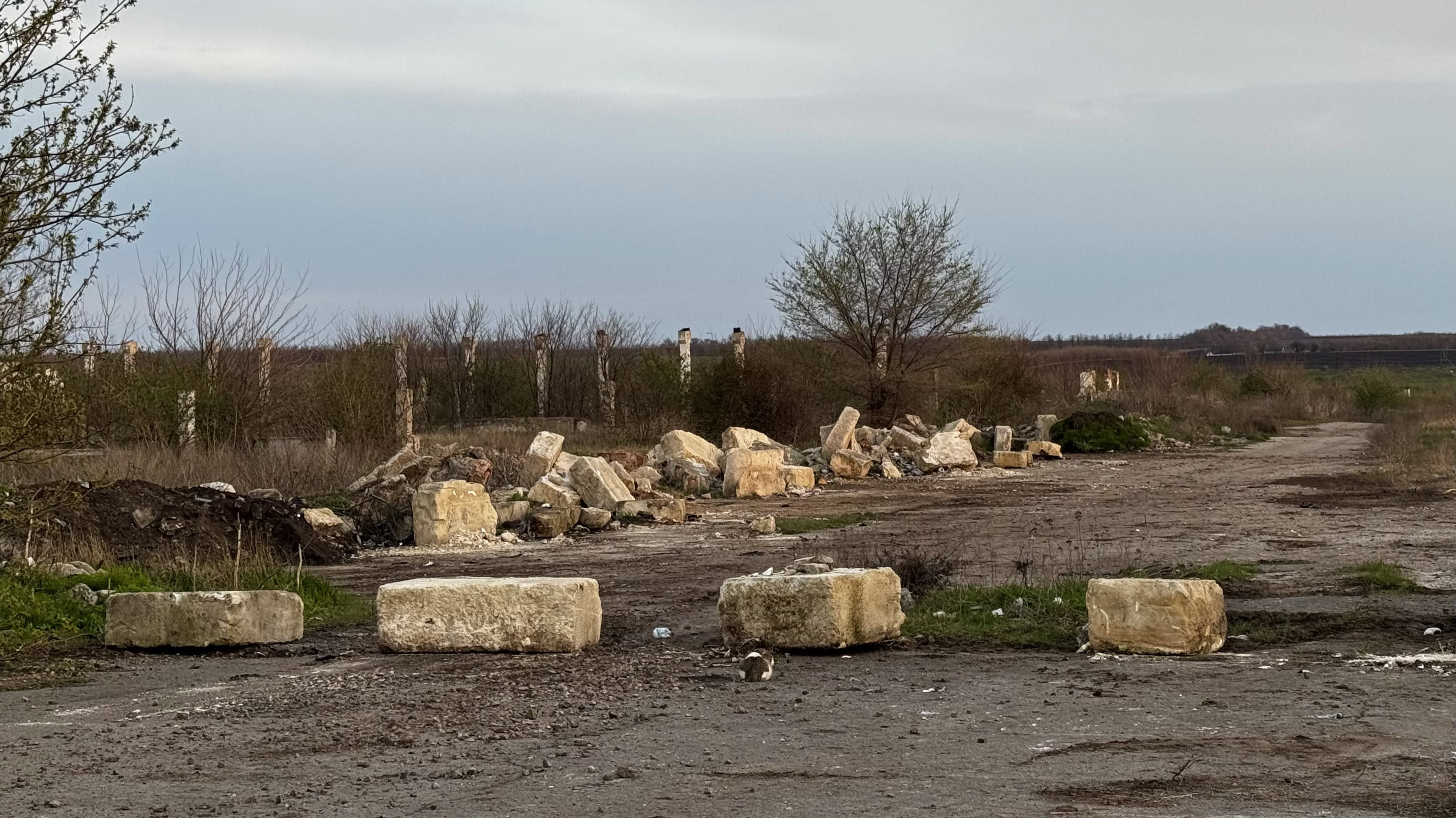 SODA проти сміття: ліквідація несанкціонованих сміттєзвалищ