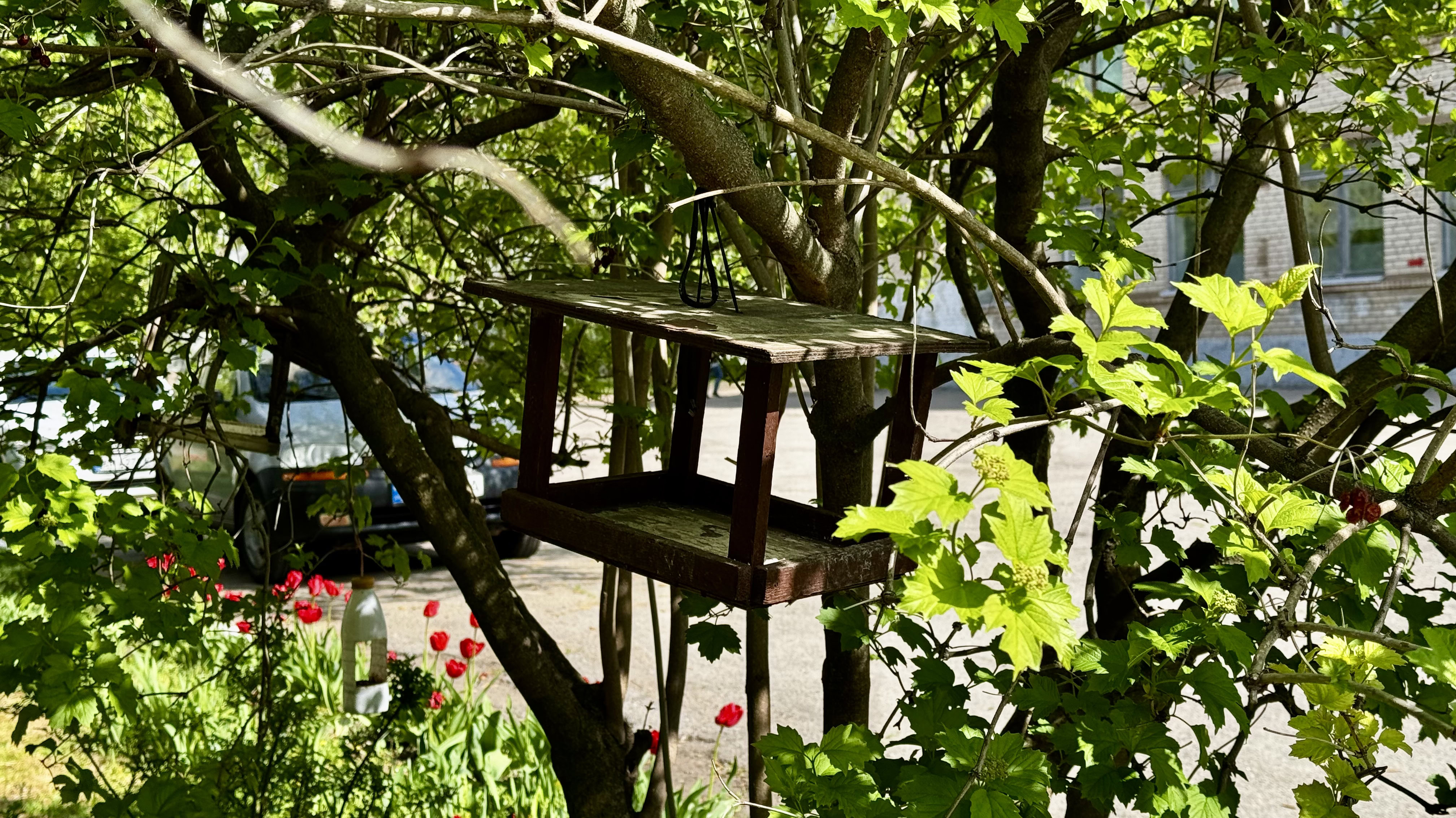 Укриття гімназії №92: ремонт, навчання та нові умови