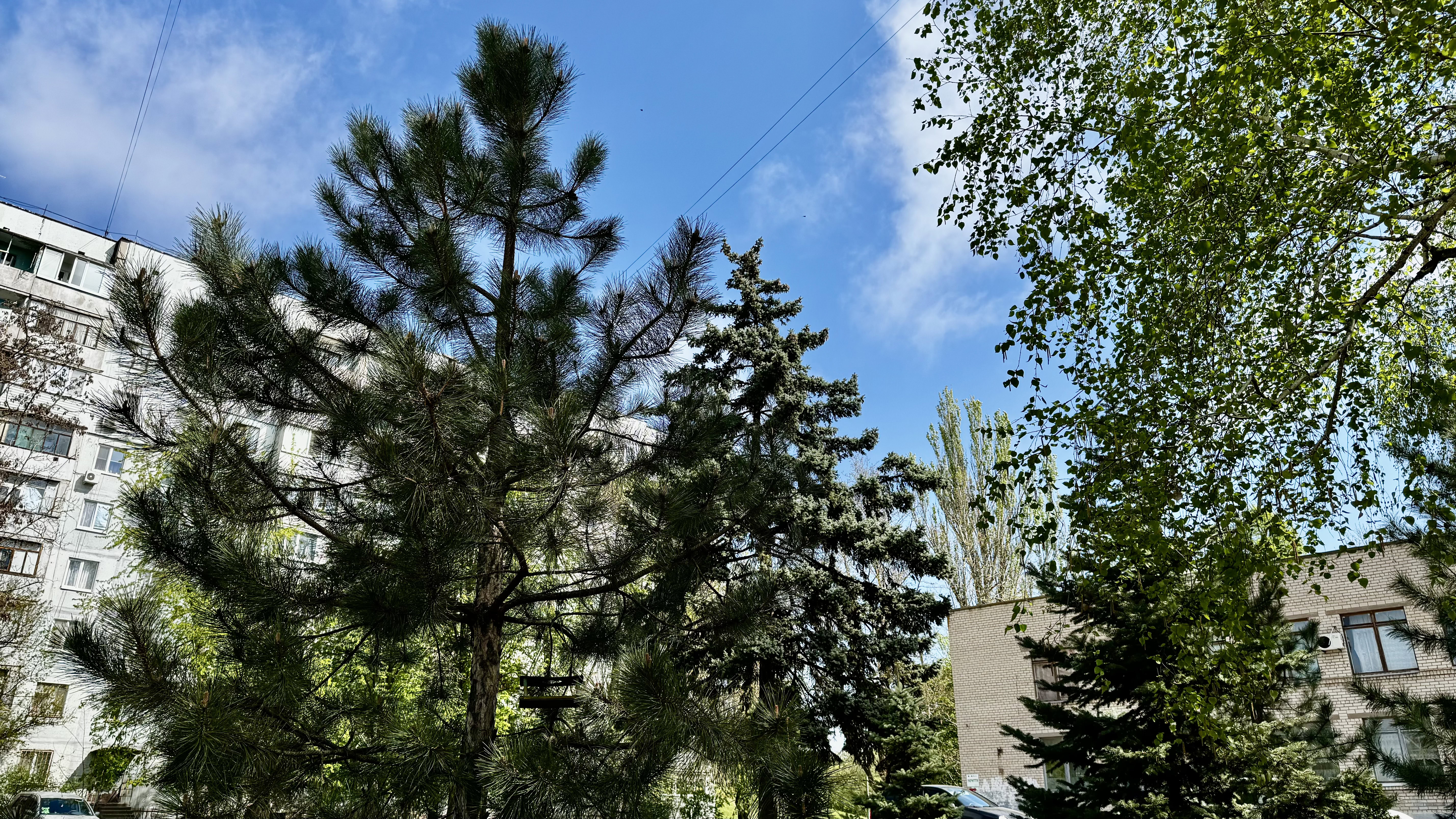 Укриття гімназії №92: ремонт, навчання та нові умови