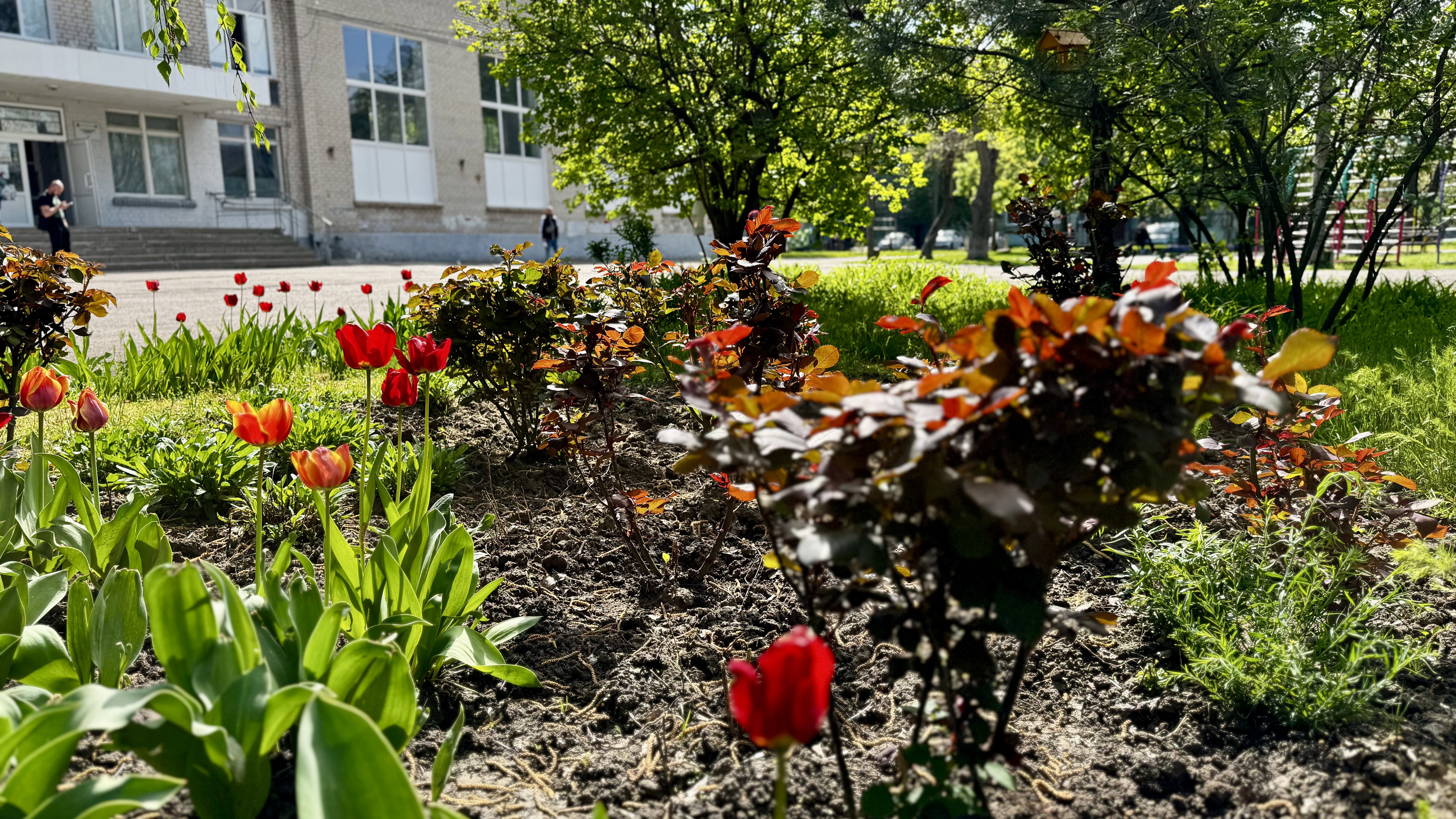 Укриття гімназії №92: ремонт, навчання та нові умови