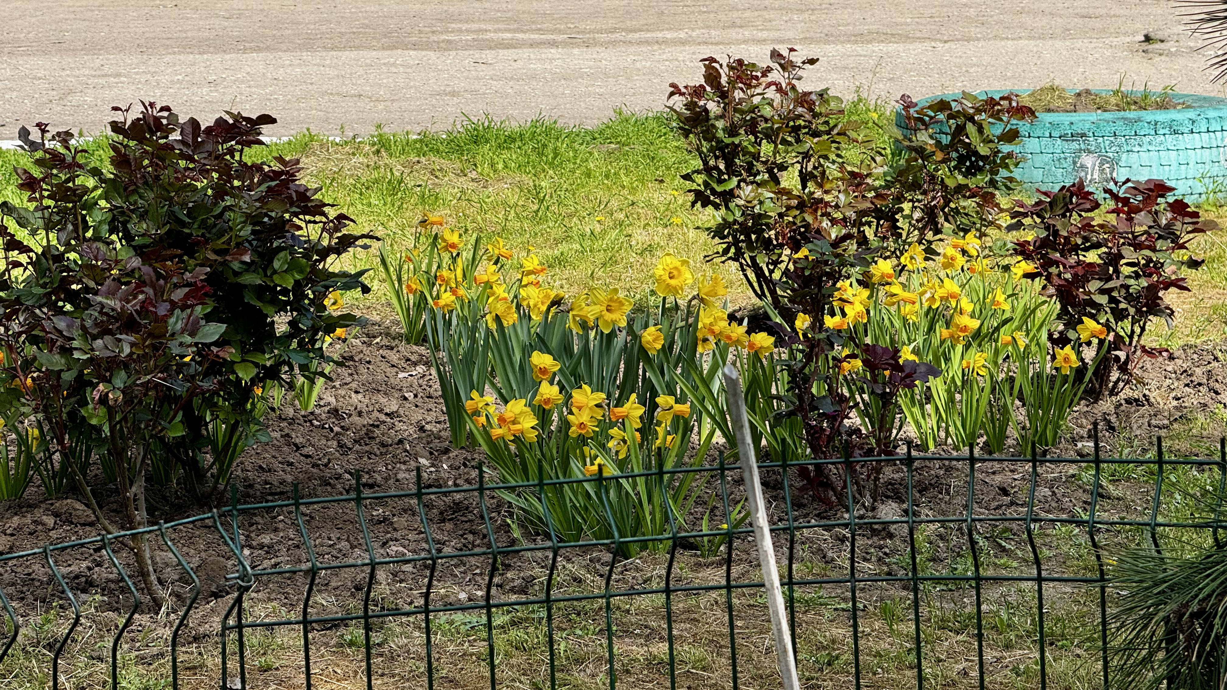 Укриття гімназії №92: ремонт, навчання та нові умови