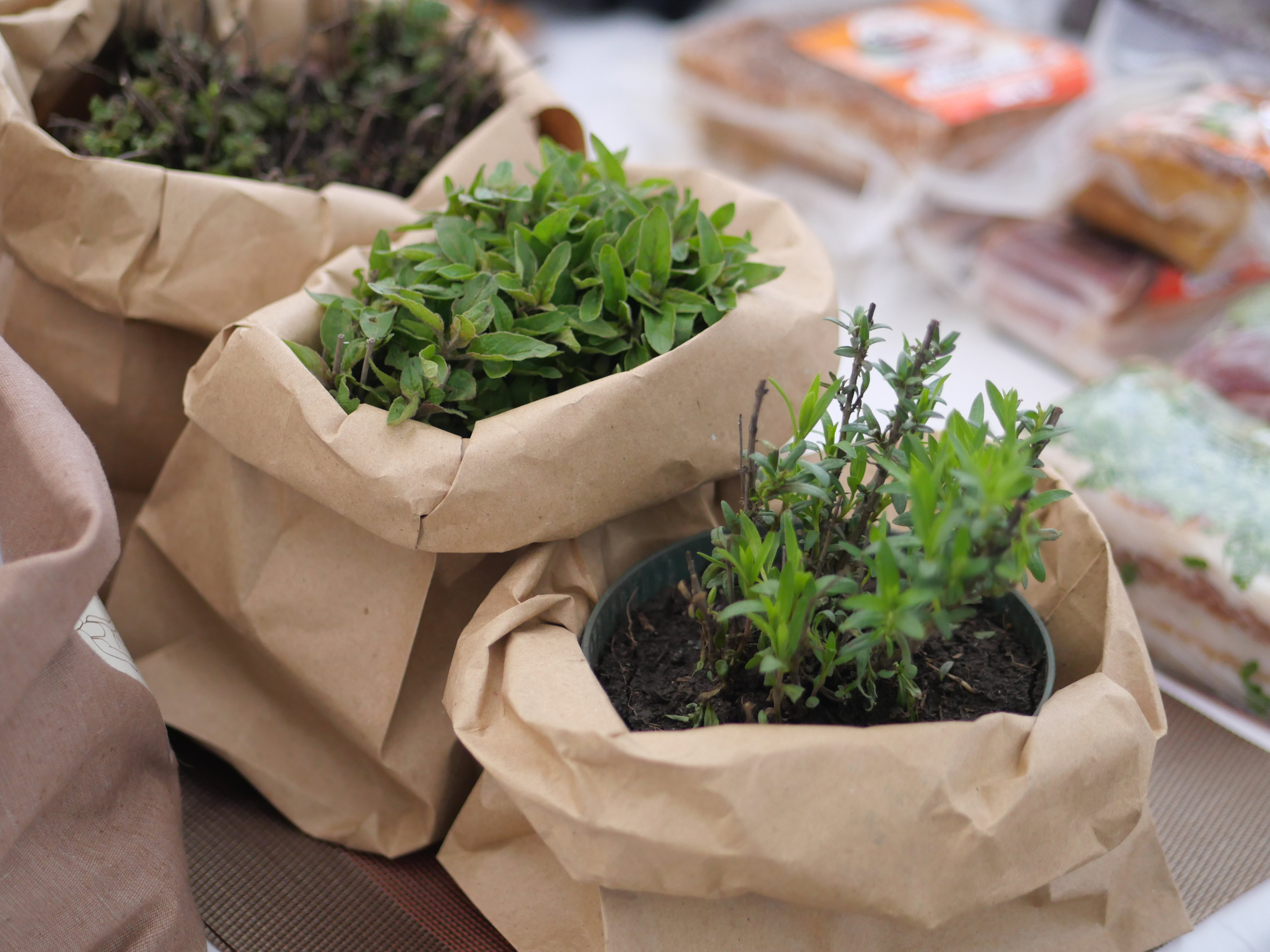 Майстер-класи, аукціони, лекції та креативні фотозони: як пройшов фестиваль «Запоріжжя – місто з яйцями»