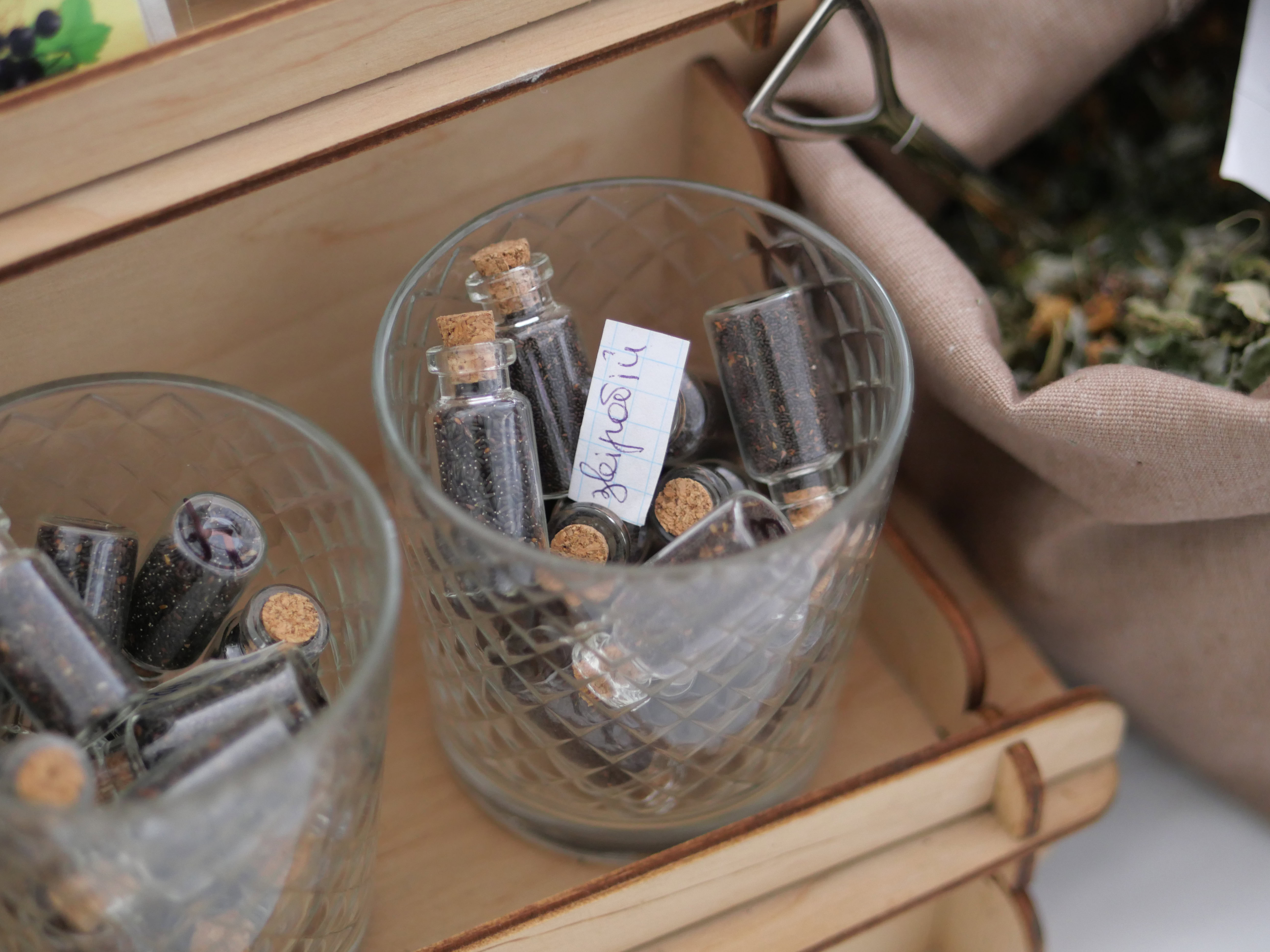 Майстер-класи, аукціони, лекції та креативні фотозони: як пройшов фестиваль «Запоріжжя – місто з яйцями»