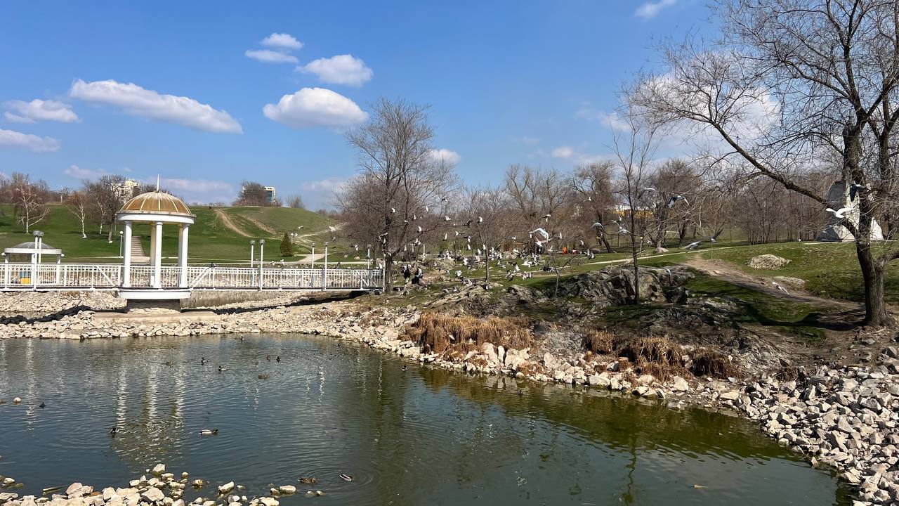 Запоріжжя готує Концепцію парків та скверів: головні проблеми зелених зон та їхнє ідеальне майбутнє