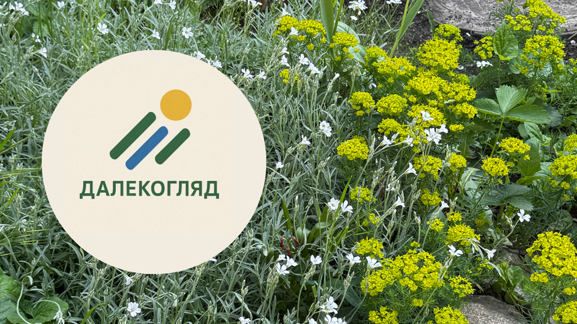 Місто, де хочеться жити: як «Далекогляд» змінює Запоріжжя