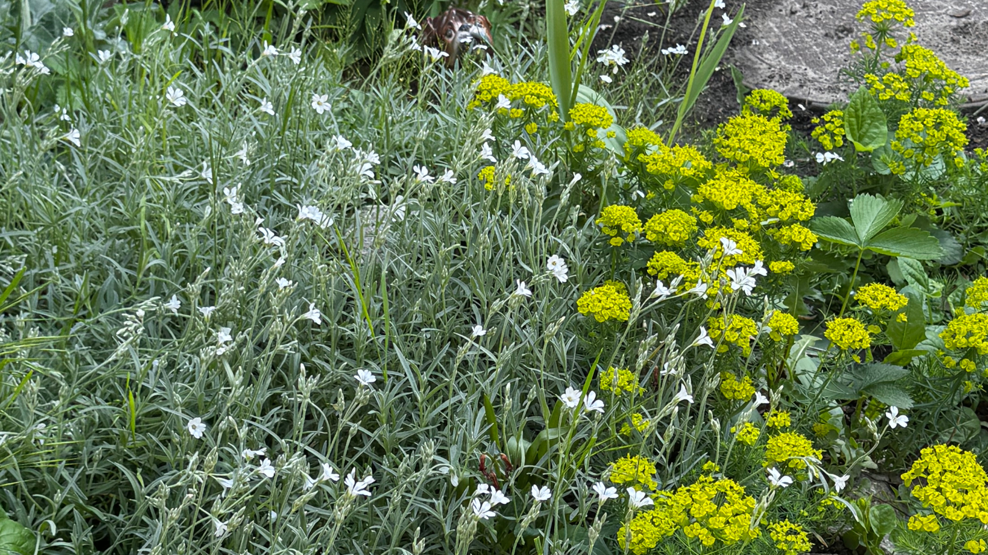 Місто, де хочеться жити: як «Далекогляд» змінює Запоріжжя