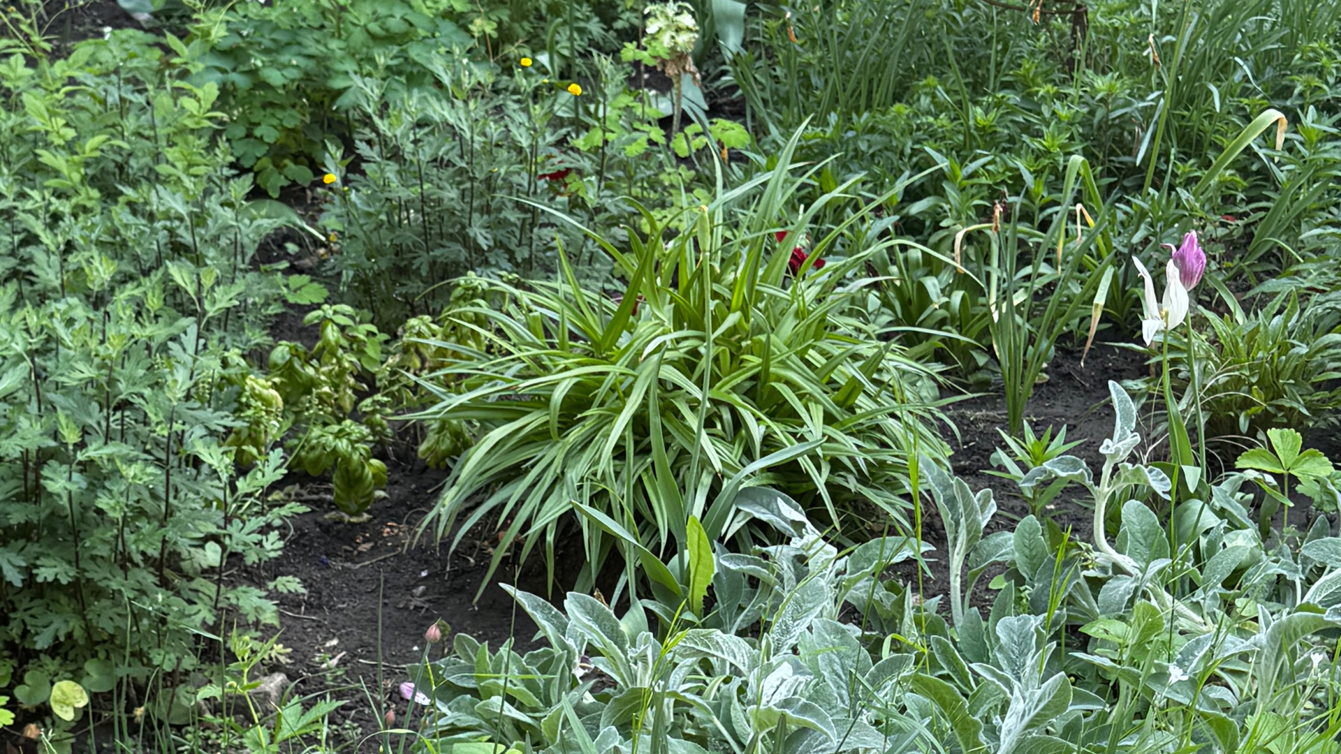Місто, де хочеться жити: як «Далекогляд» змінює Запоріжжя