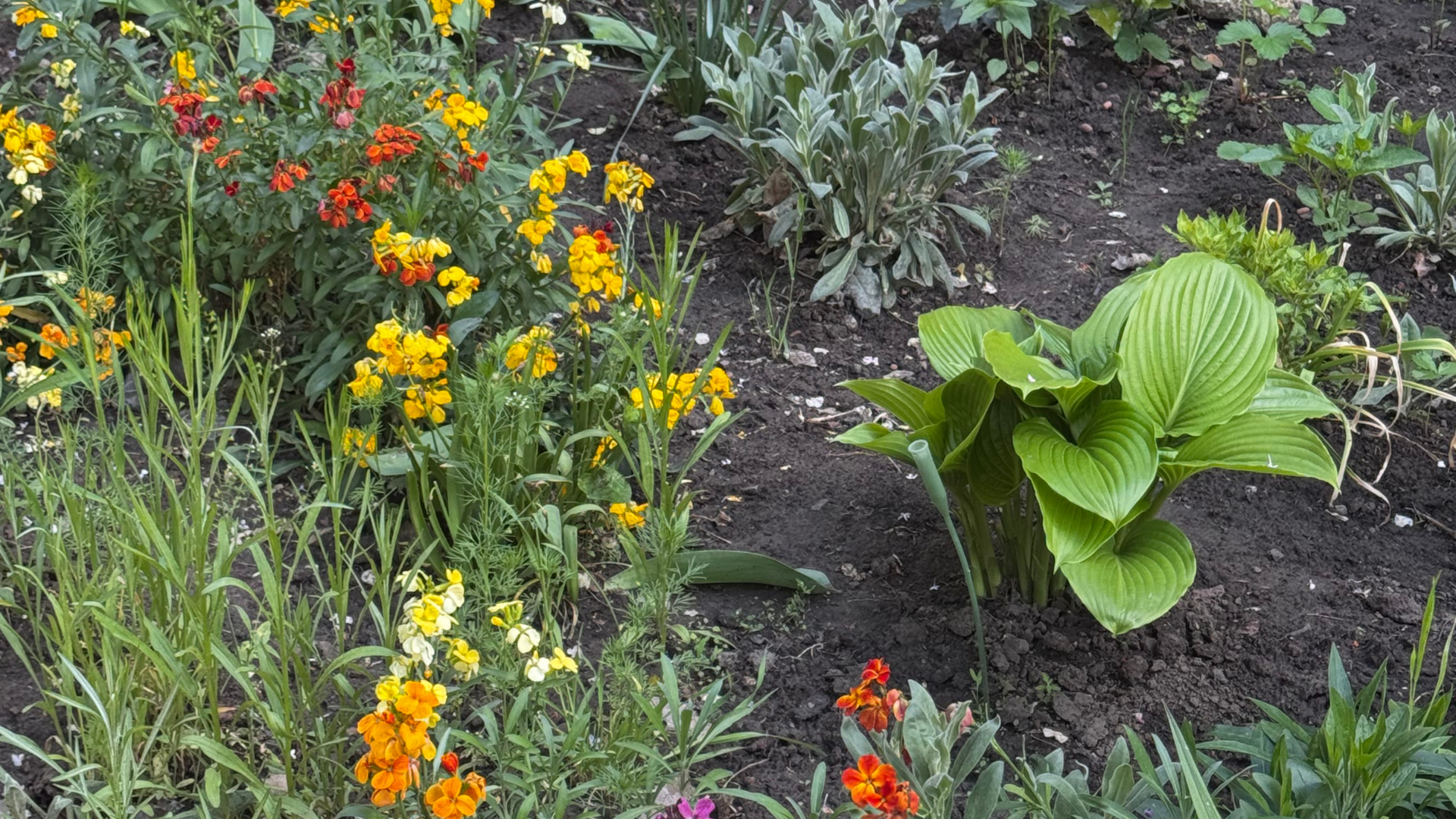 Місто, де хочеться жити: як «Далекогляд» змінює Запоріжжя