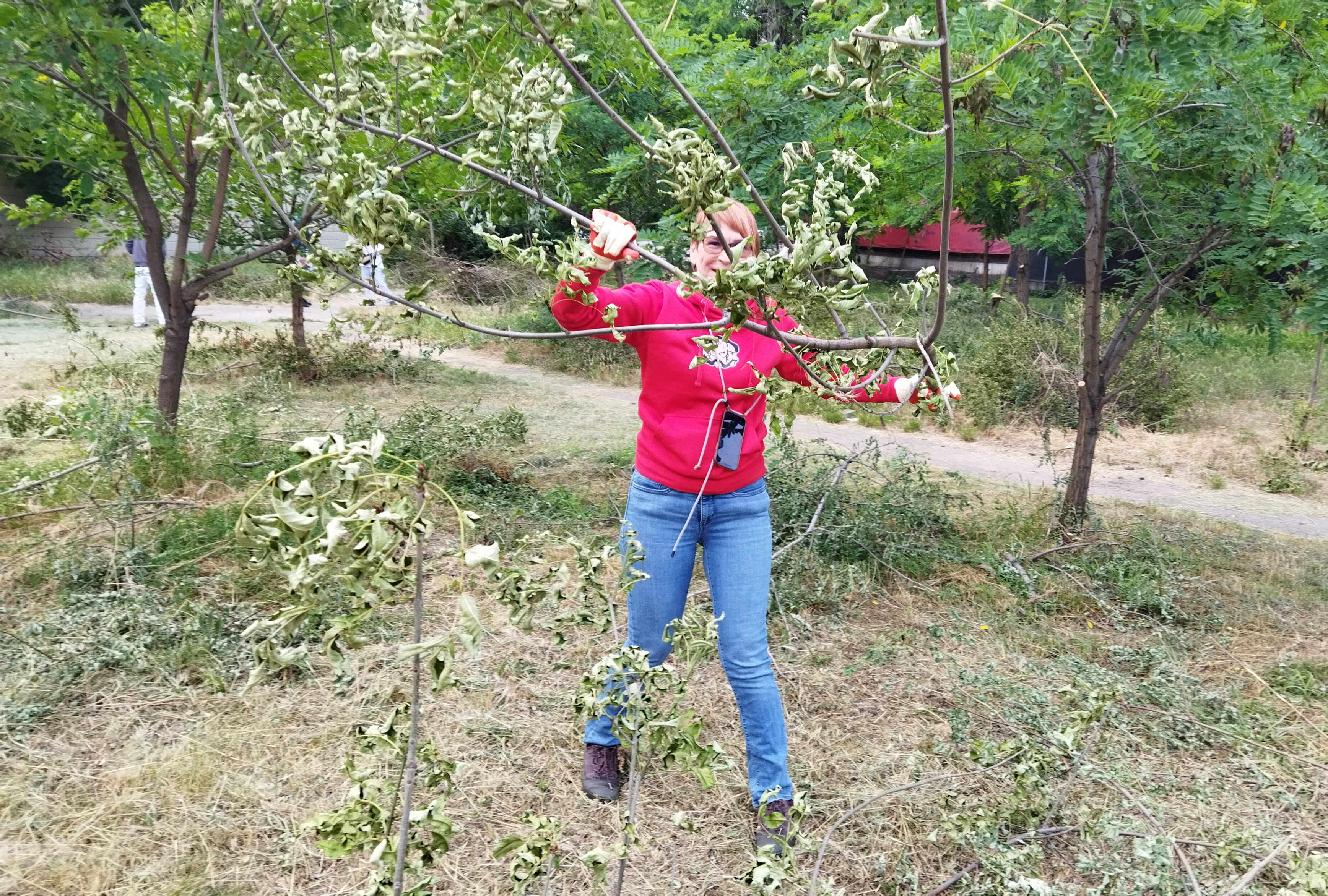 Вихідні в сквері Тарасова: вуличні меблі та толока