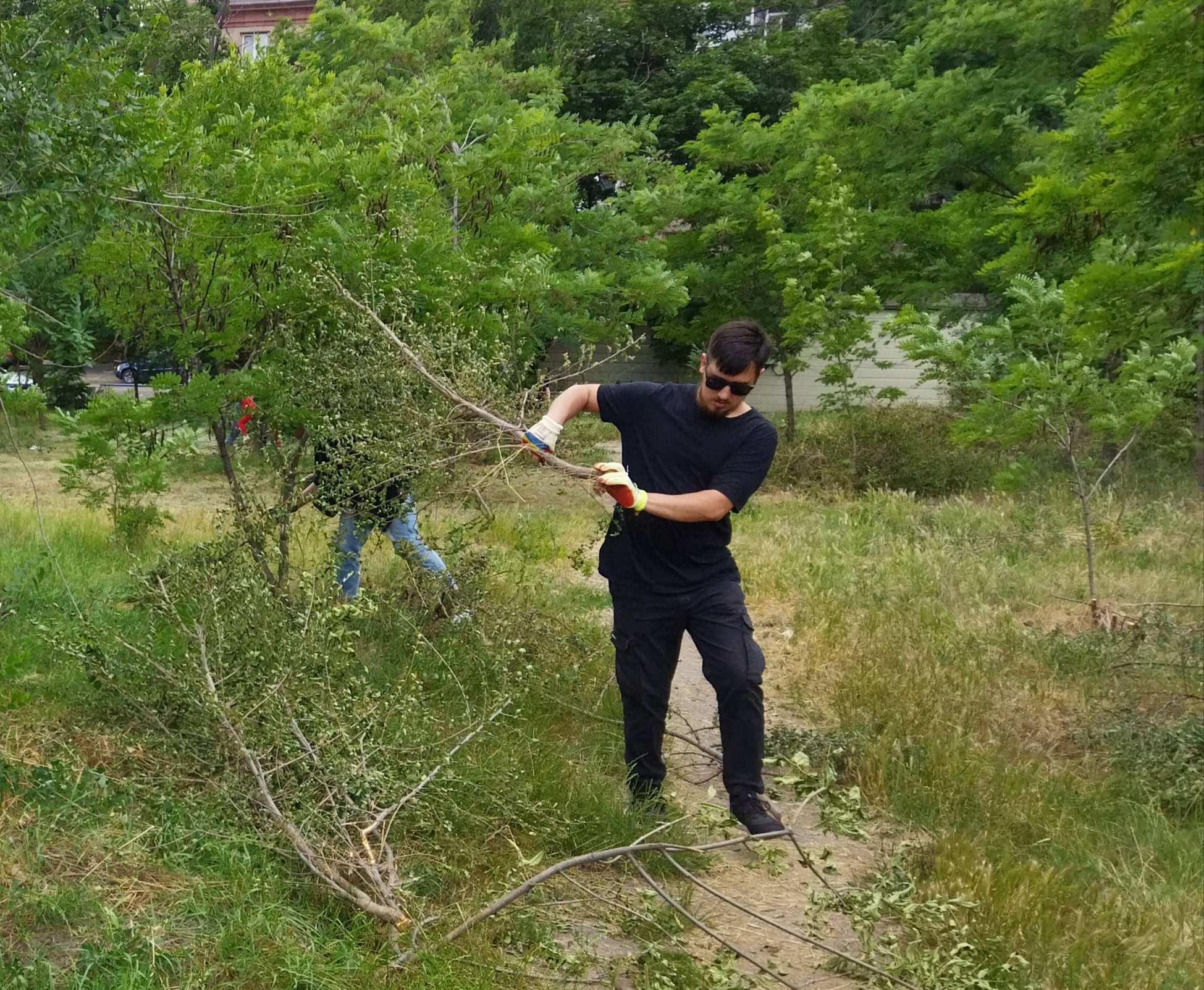 Вихідні в сквері Тарасова: вуличні меблі та толока