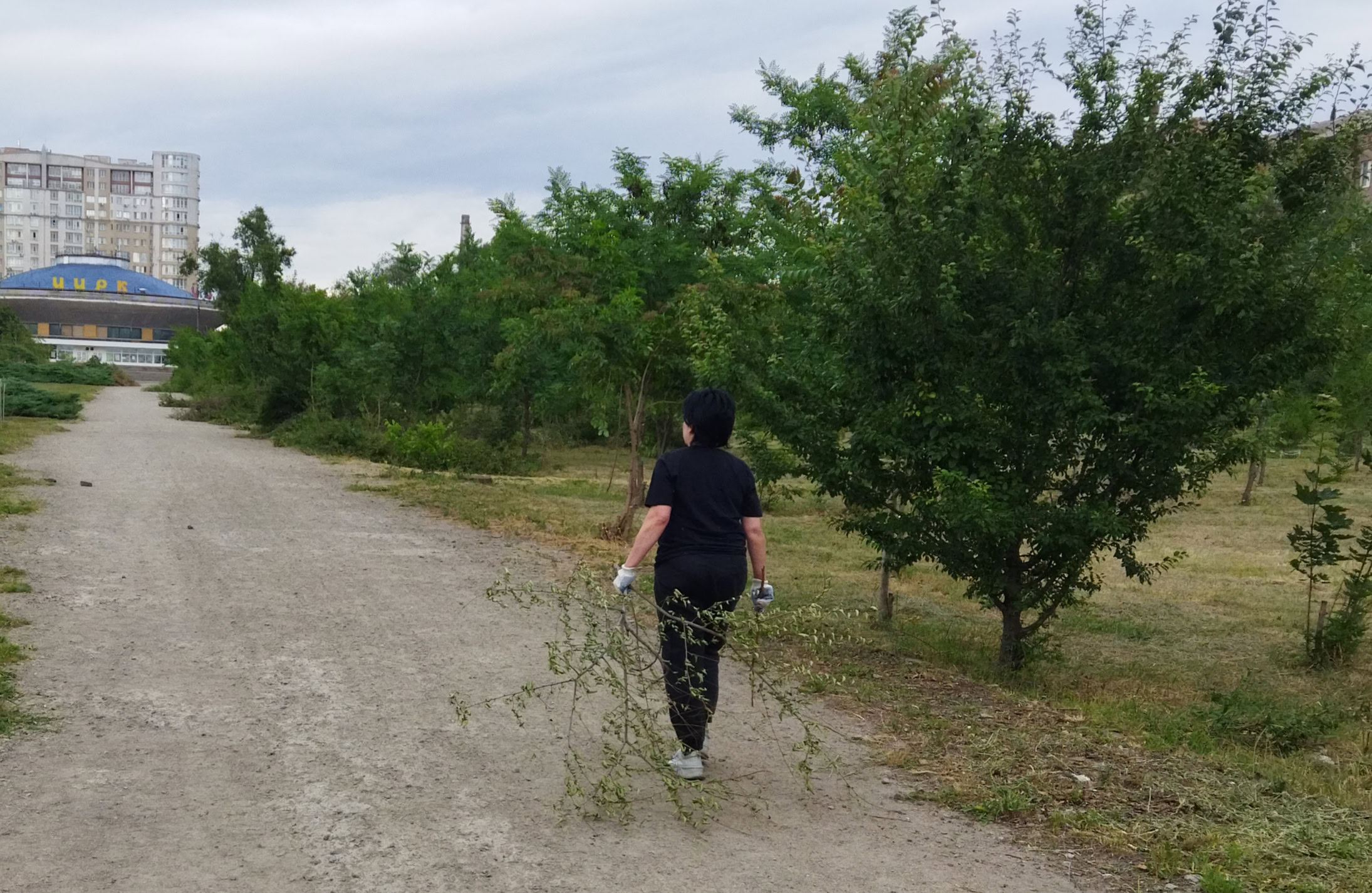 Вихідні в сквері Тарасова: вуличні меблі та толока