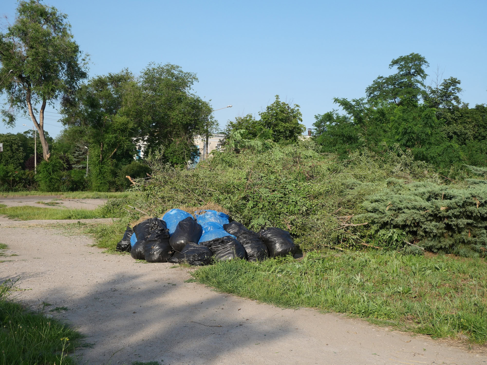 «Clean & Dance»: як небайдужі запоріжці прибирали у сквері Тарасова під музику