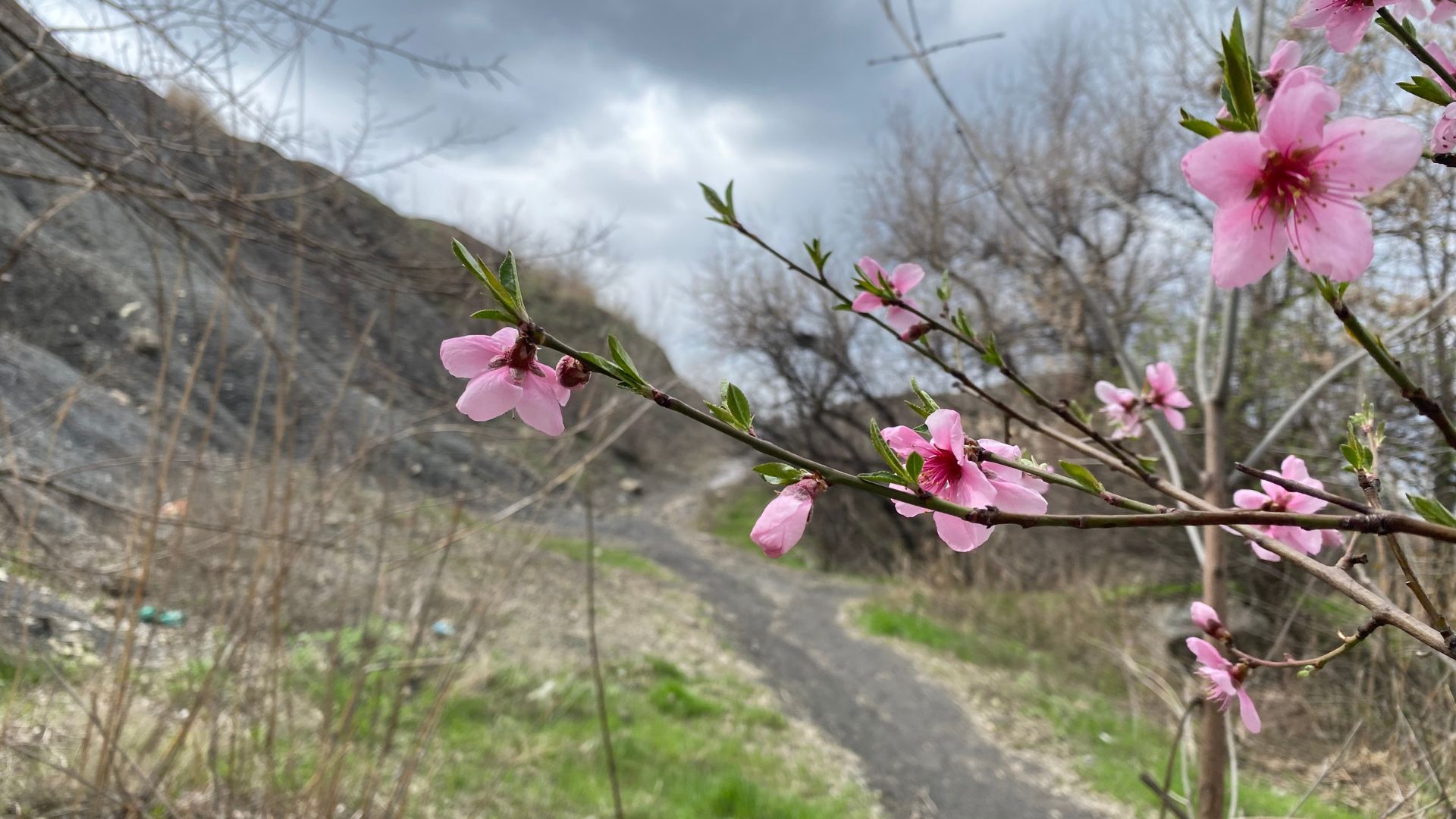 «Мазутне озеро»: як в Запоріжжі вже 50 років ігнорують токсичну промислову спадщину