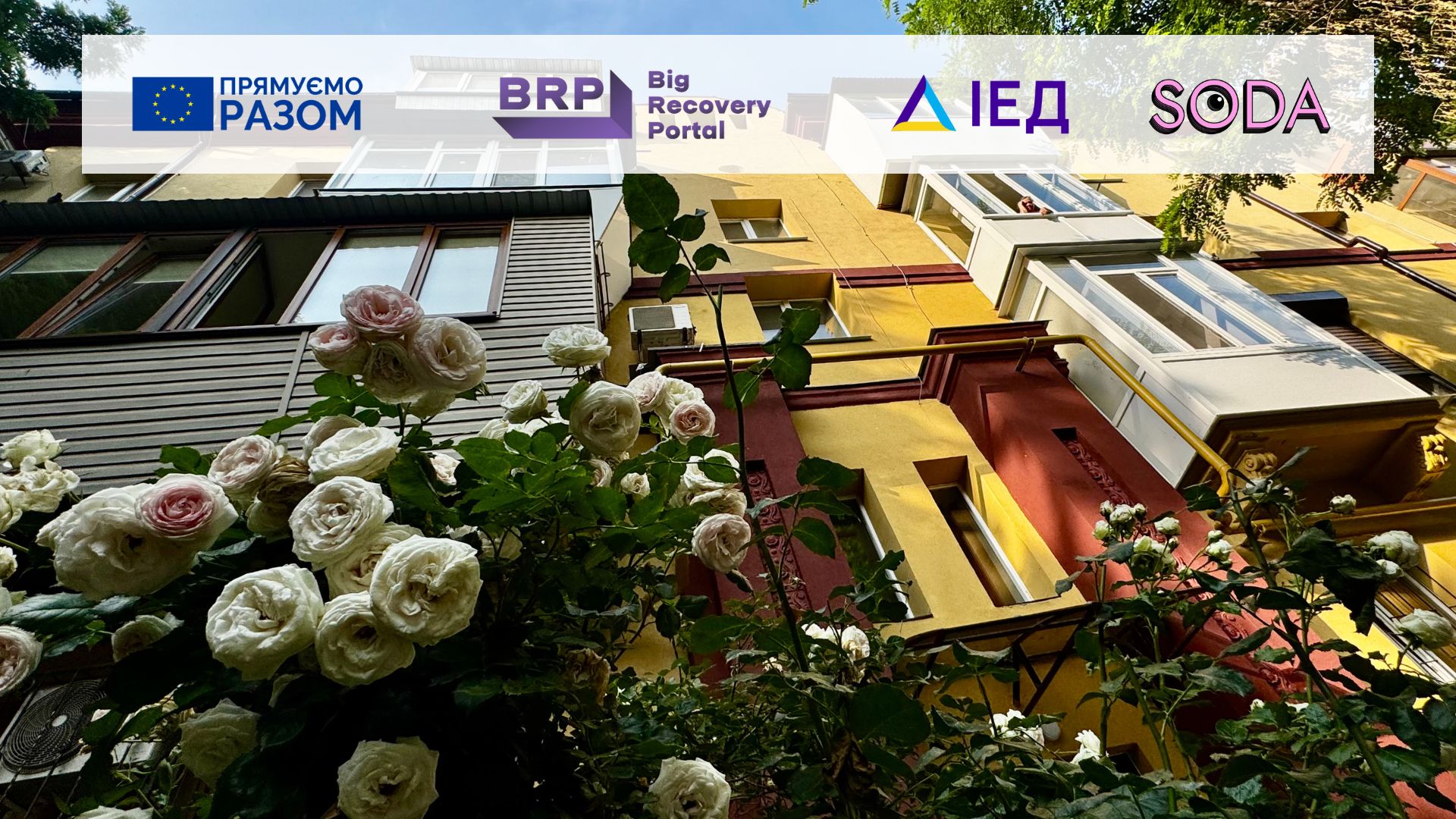 Троянди замість руїн: як оновили Сталеварів,16 після обстрілу