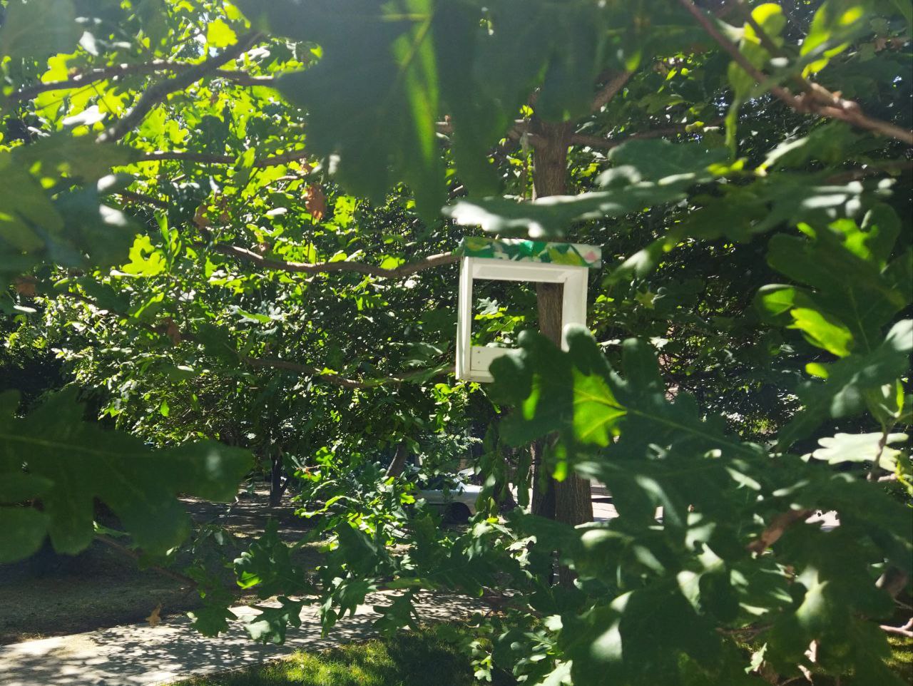 З користю для міста і природи: екоактивісти встановили меблі з перероблених матеріалів у дворі Молодіжного центру