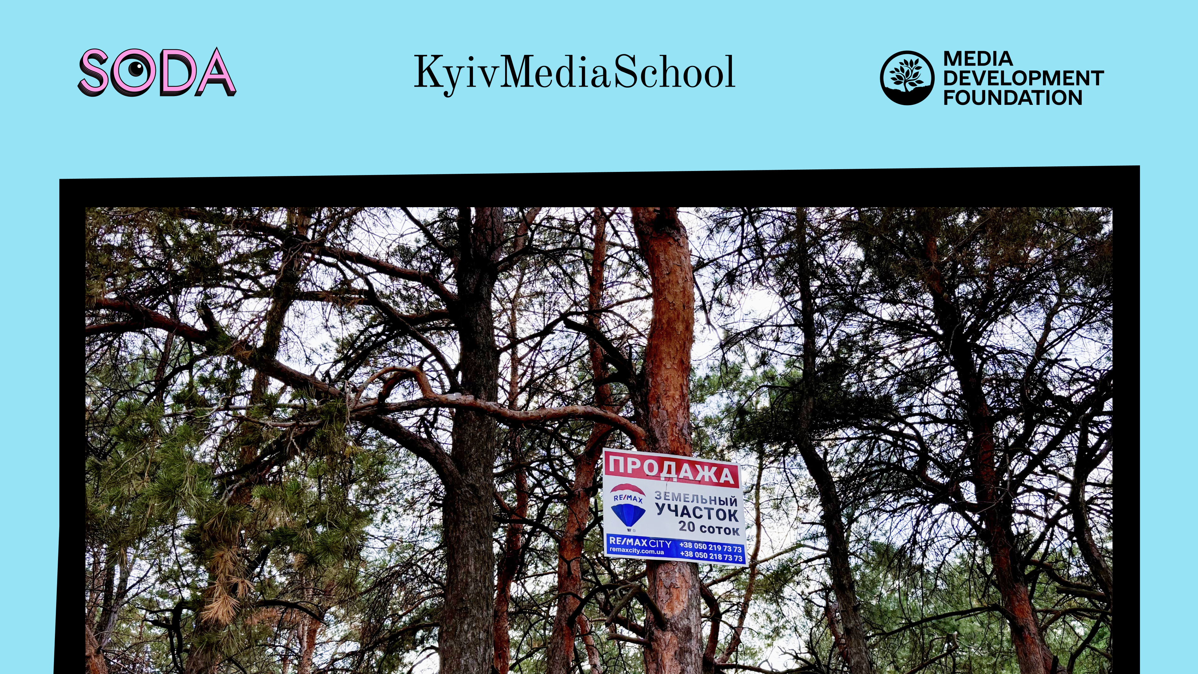 Частина в лісі – вже приватна: Чому запоріжці ризикують втратити шматок Соснового бору