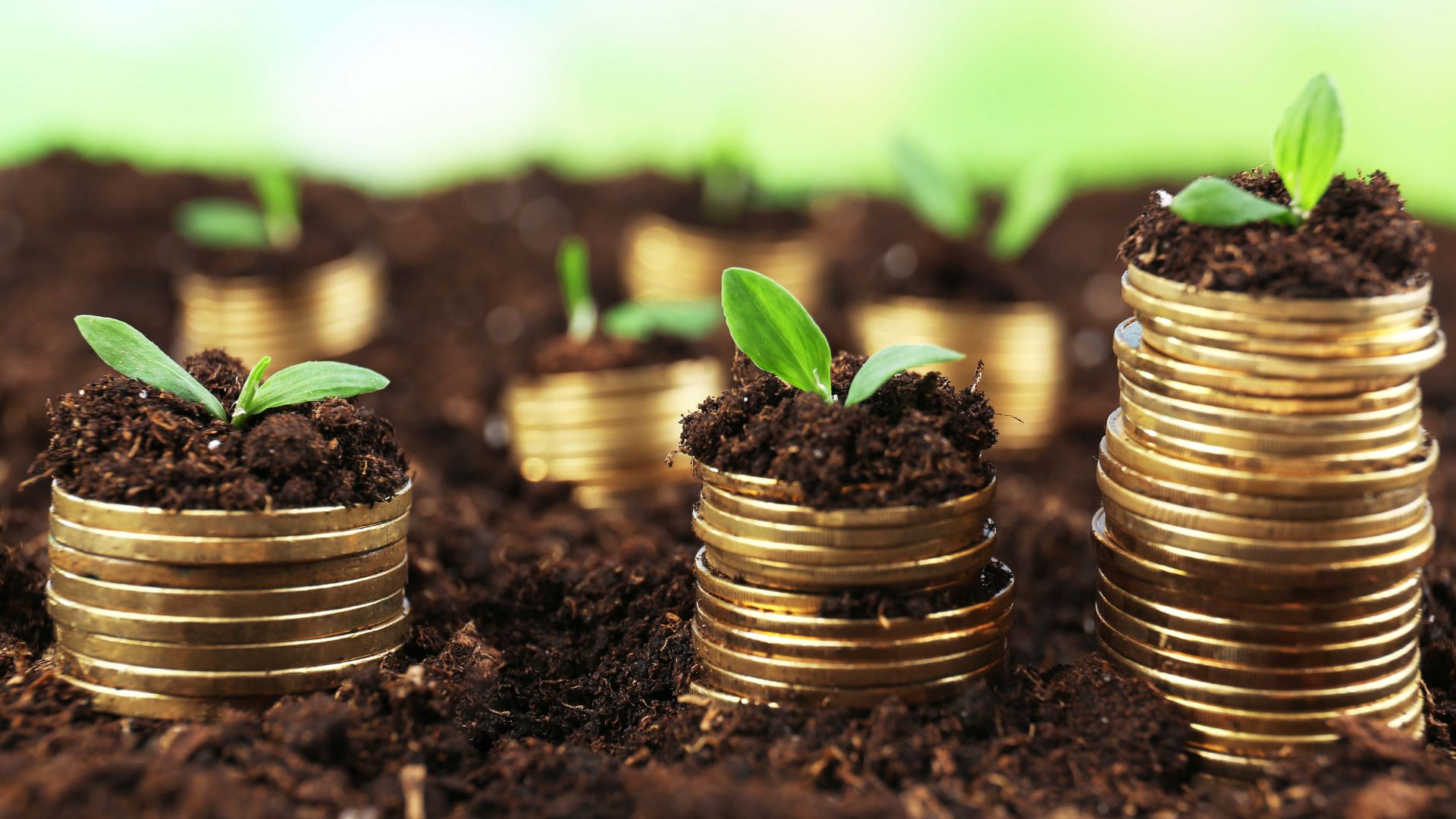 Скільки екоподатку сплачують підприємці Запоріжжя і куди йдуть ці кошти