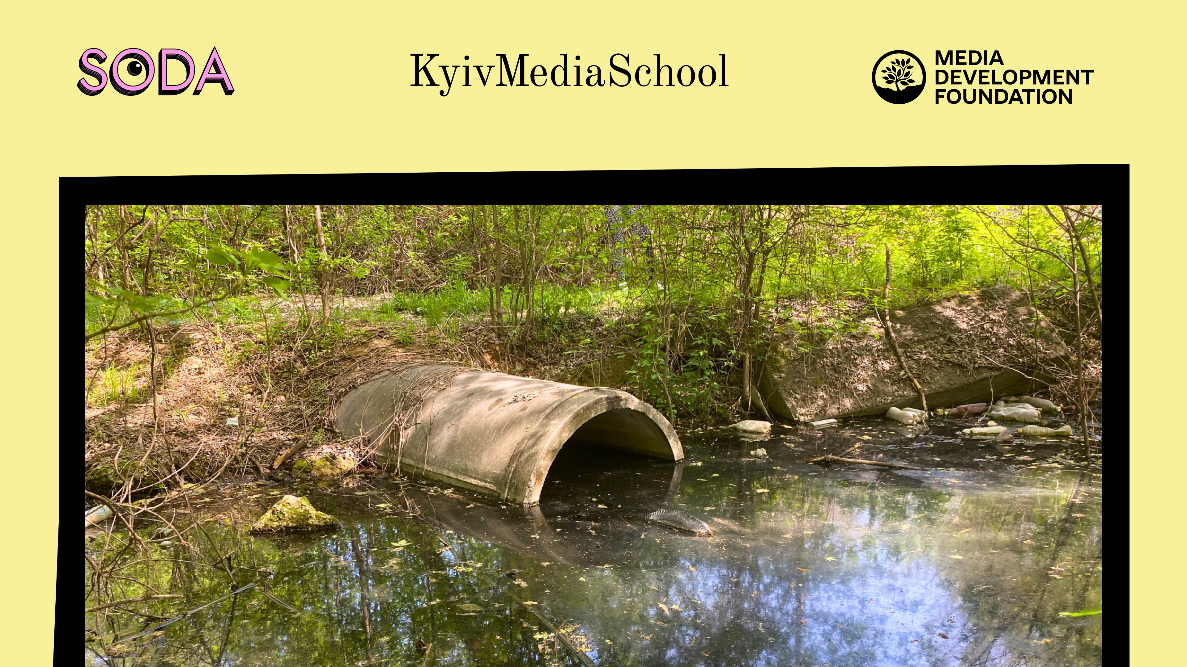 Каналізаційні стоки чи забруднена водойма на Павло-Кічкасі: що таїть в собі балка Маркусова