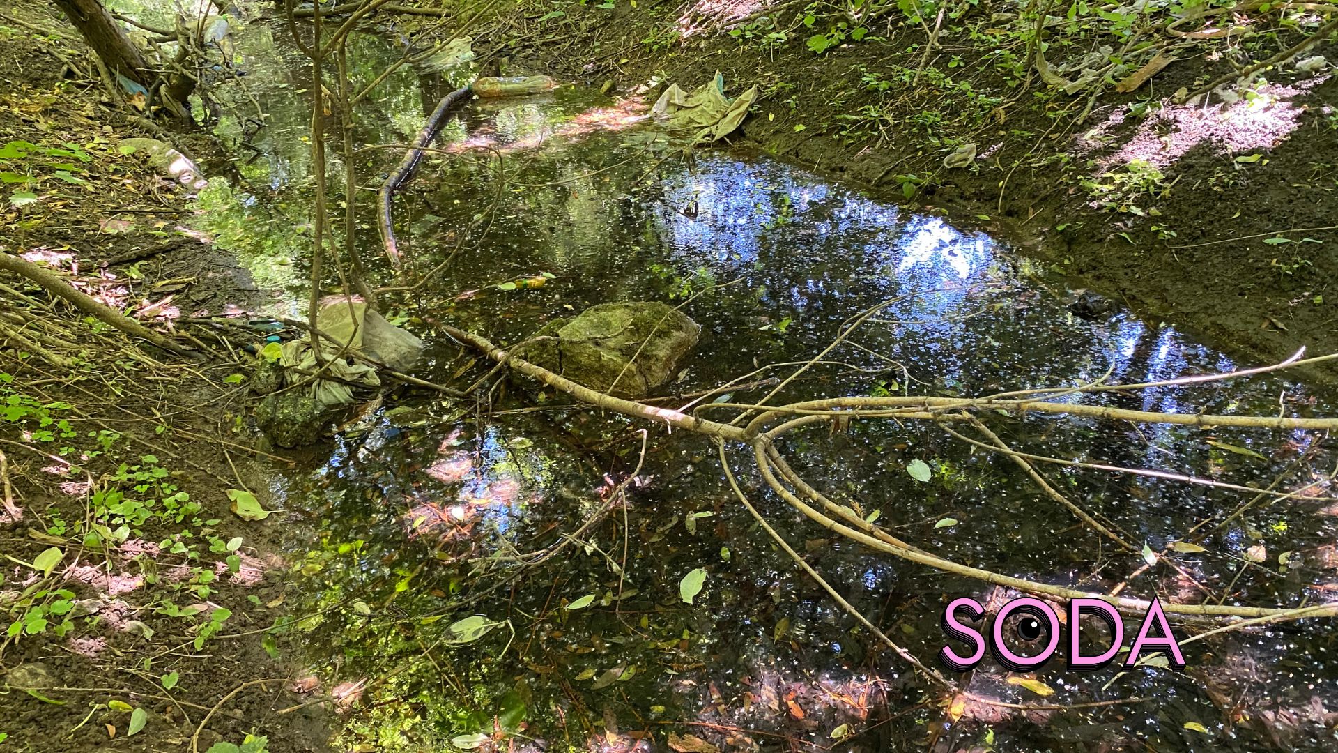 Каналізаційні стоки чи забруднена водойма на Павло-Кічкасі: що таїть в собі балка Маркусова