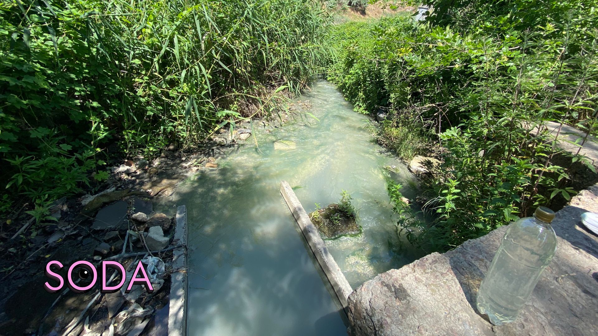Каналізаційні стоки чи забруднена водойма на Павло-Кічкасі: що таїть в собі балка Маркусова