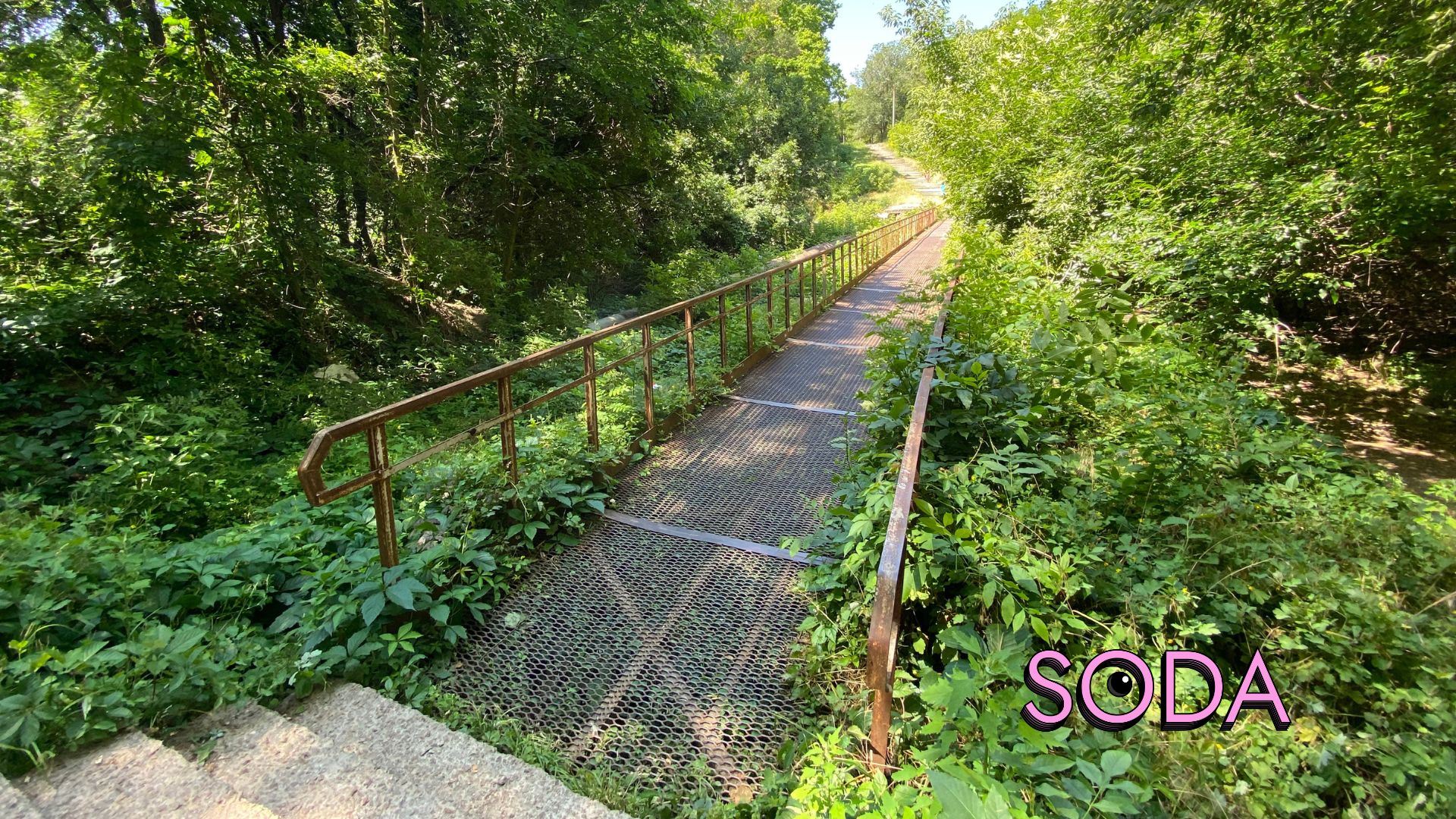 Каналізаційні стоки чи забруднена водойма на Павло-Кічкасі: що таїть в собі балка Маркусова