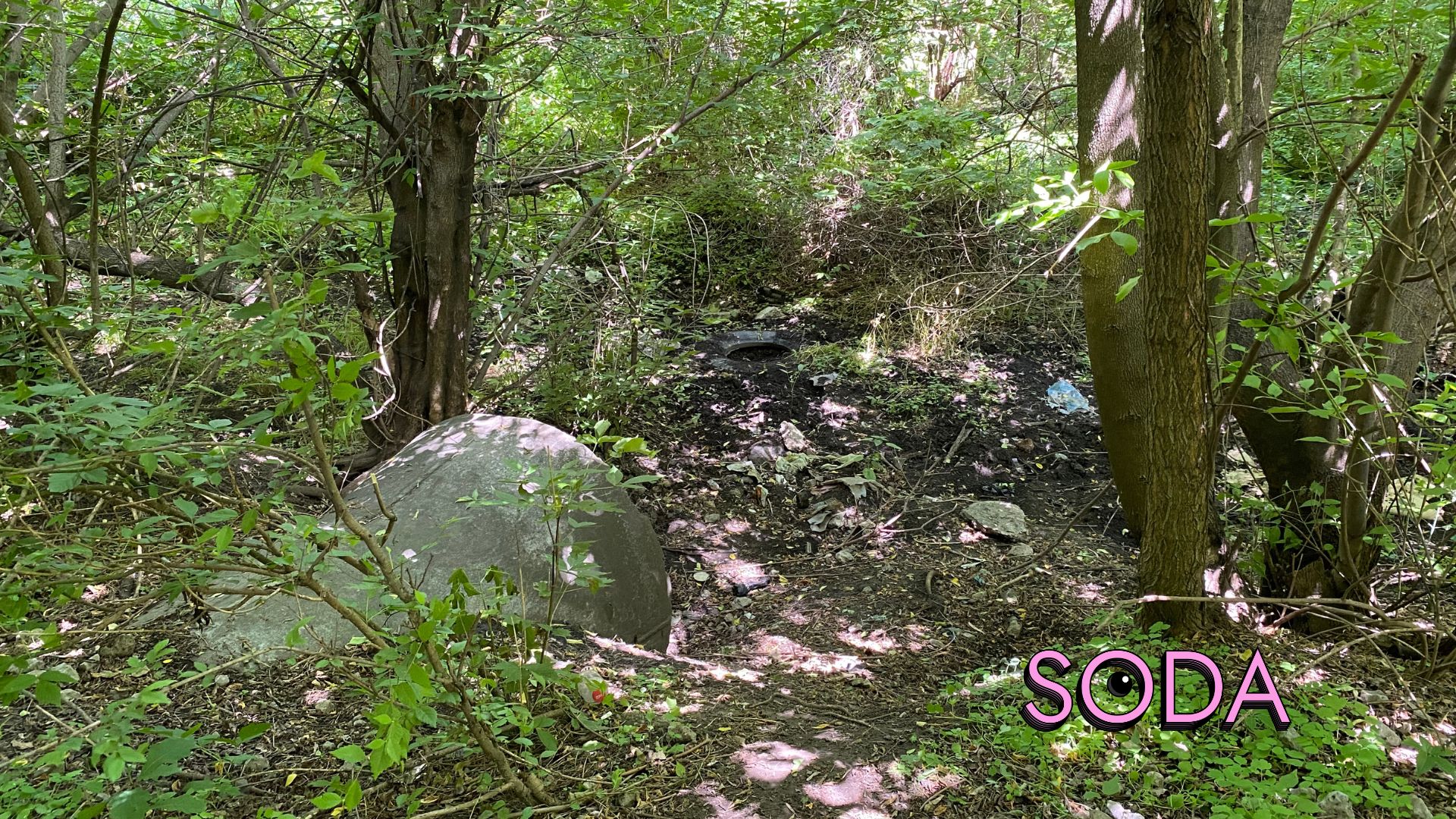 Каналізаційні стоки чи забруднена водойма на Павло-Кічкасі: що таїть в собі балка Маркусова