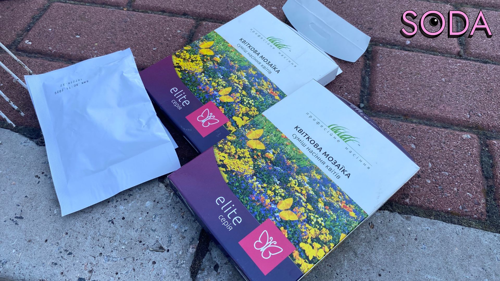 Різнотравʼя як альтернатива газонам: екоактивісти досліджують новий формат озеленення Запоріжжя