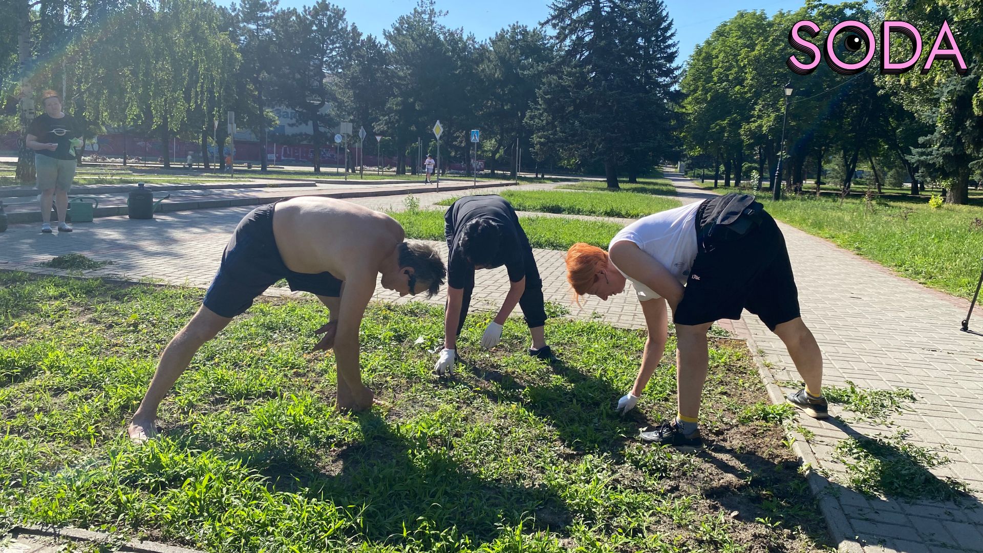 Різнотравʼя як альтернатива газонам: екоактивісти досліджують новий формат озеленення Запоріжжя