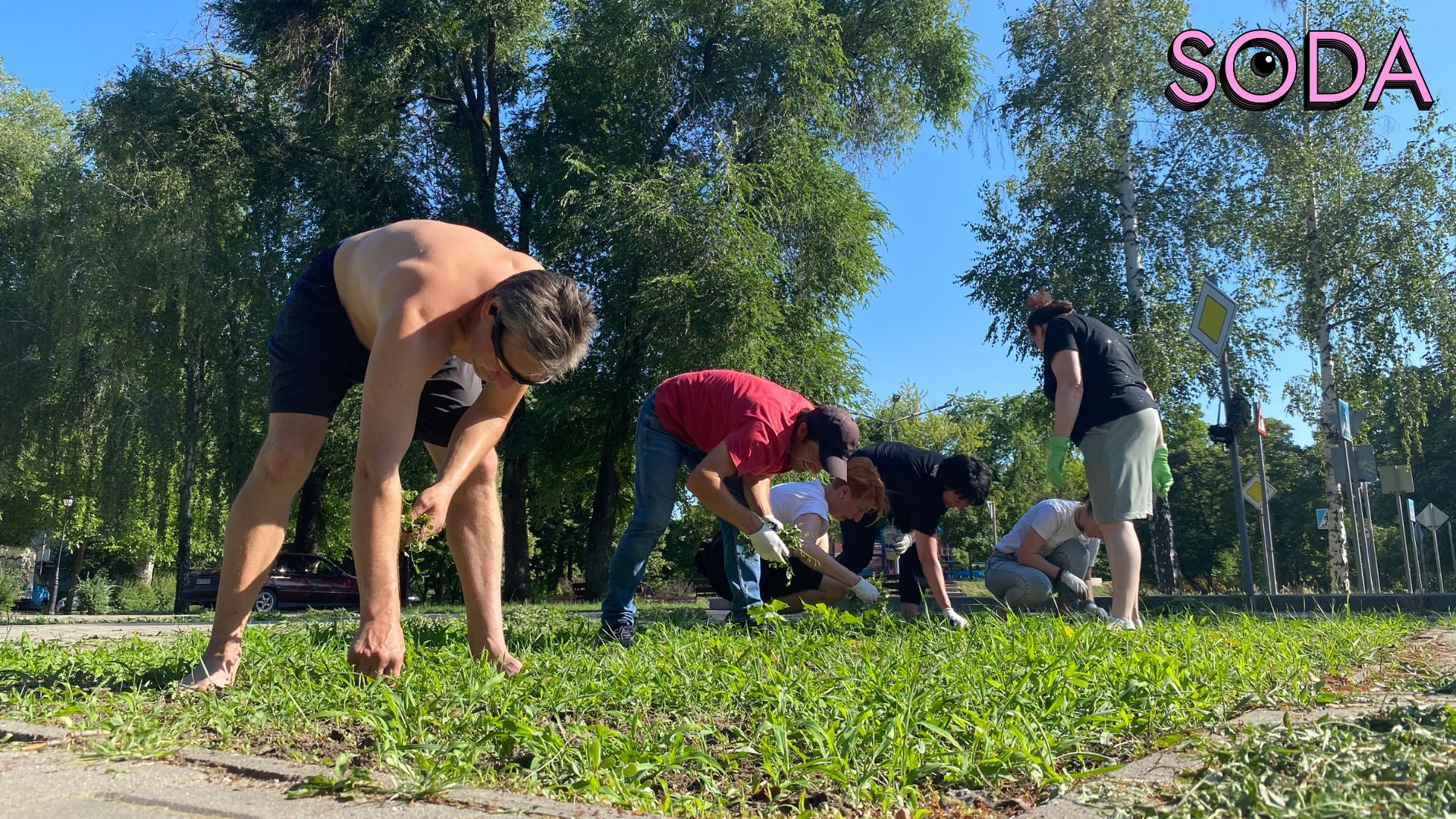 Різнотравʼя як альтернатива газонам: екоактивісти досліджують новий формат озеленення Запоріжжя