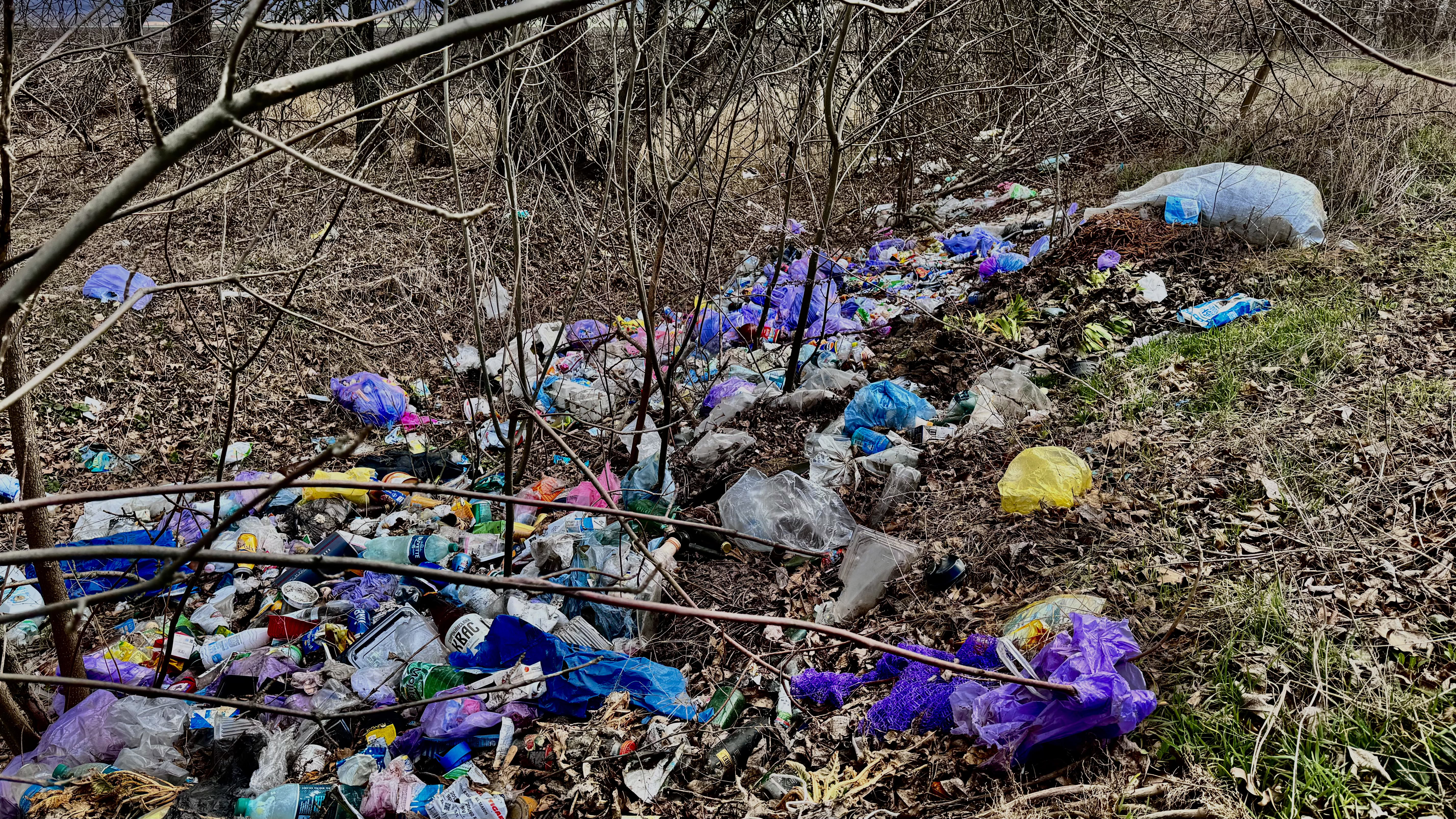Пів мільярда збитків: чому стихійні сміттєзвалища стали системною проблемою