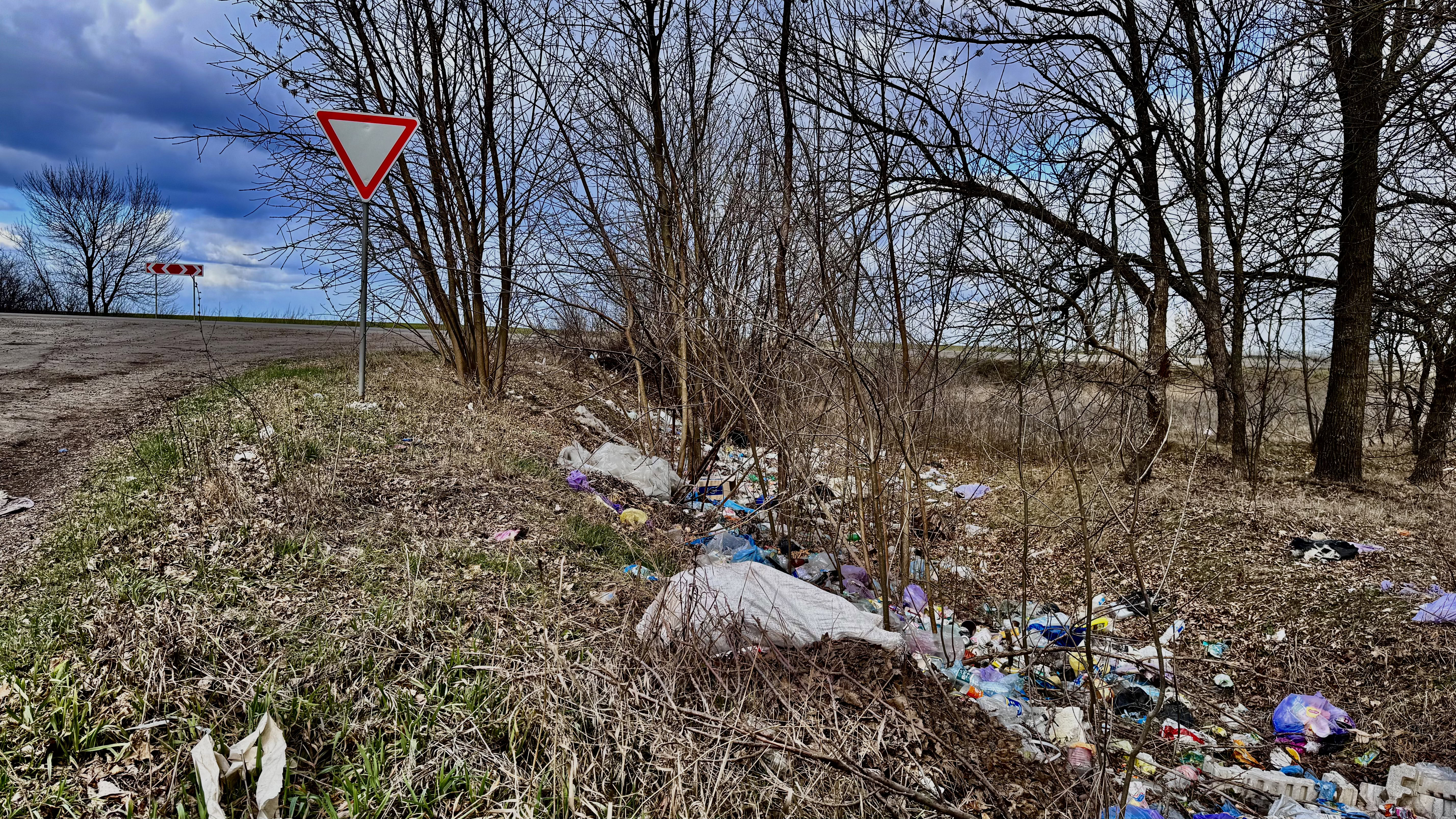 Пів мільярда збитків: чому стихійні сміттєзвалища стали системною проблемою