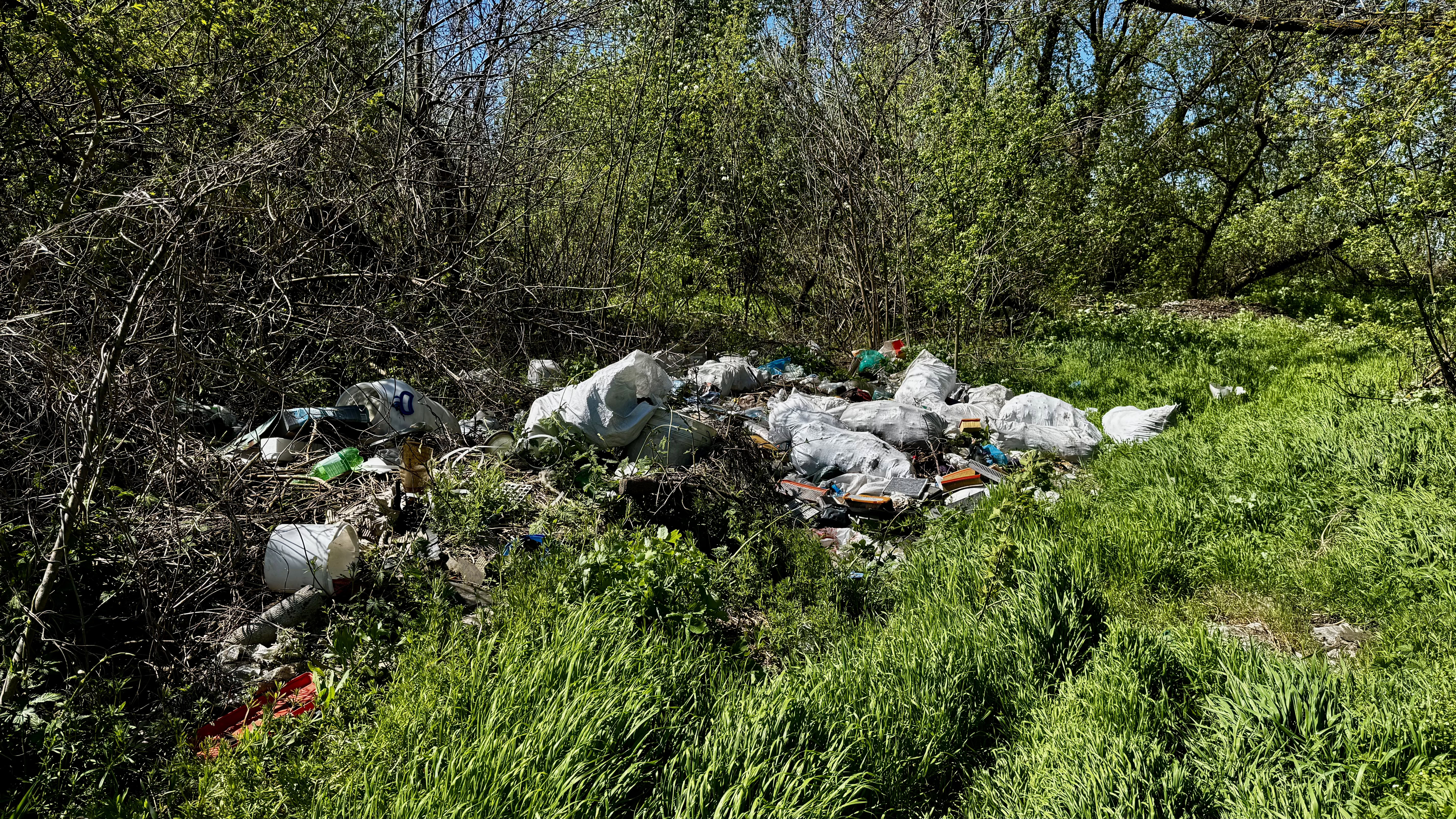 Пів мільярда збитків: чому стихійні сміттєзвалища стали системною проблемою
