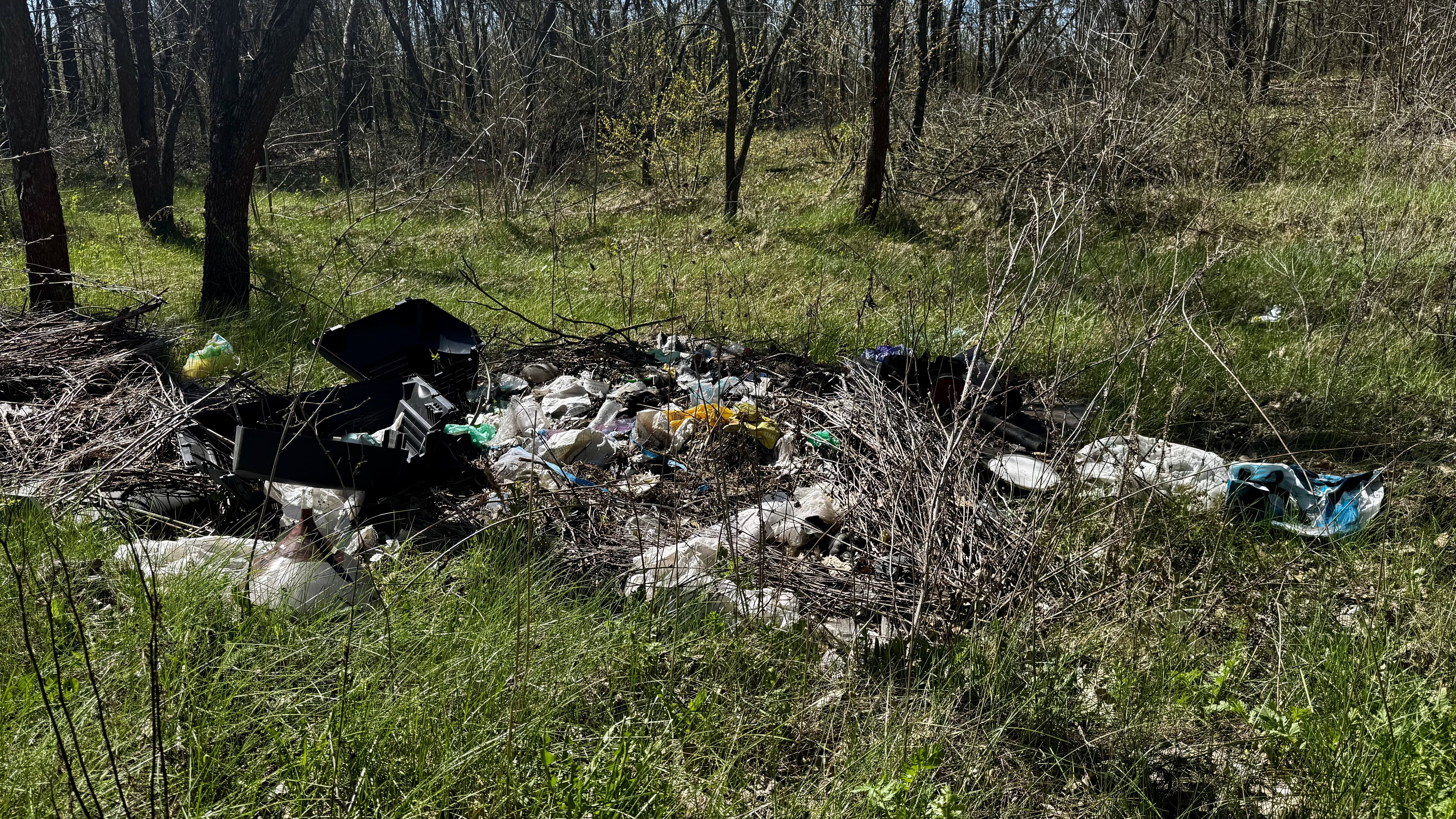 Пів мільярда збитків: чому стихійні сміттєзвалища стали системною проблемою