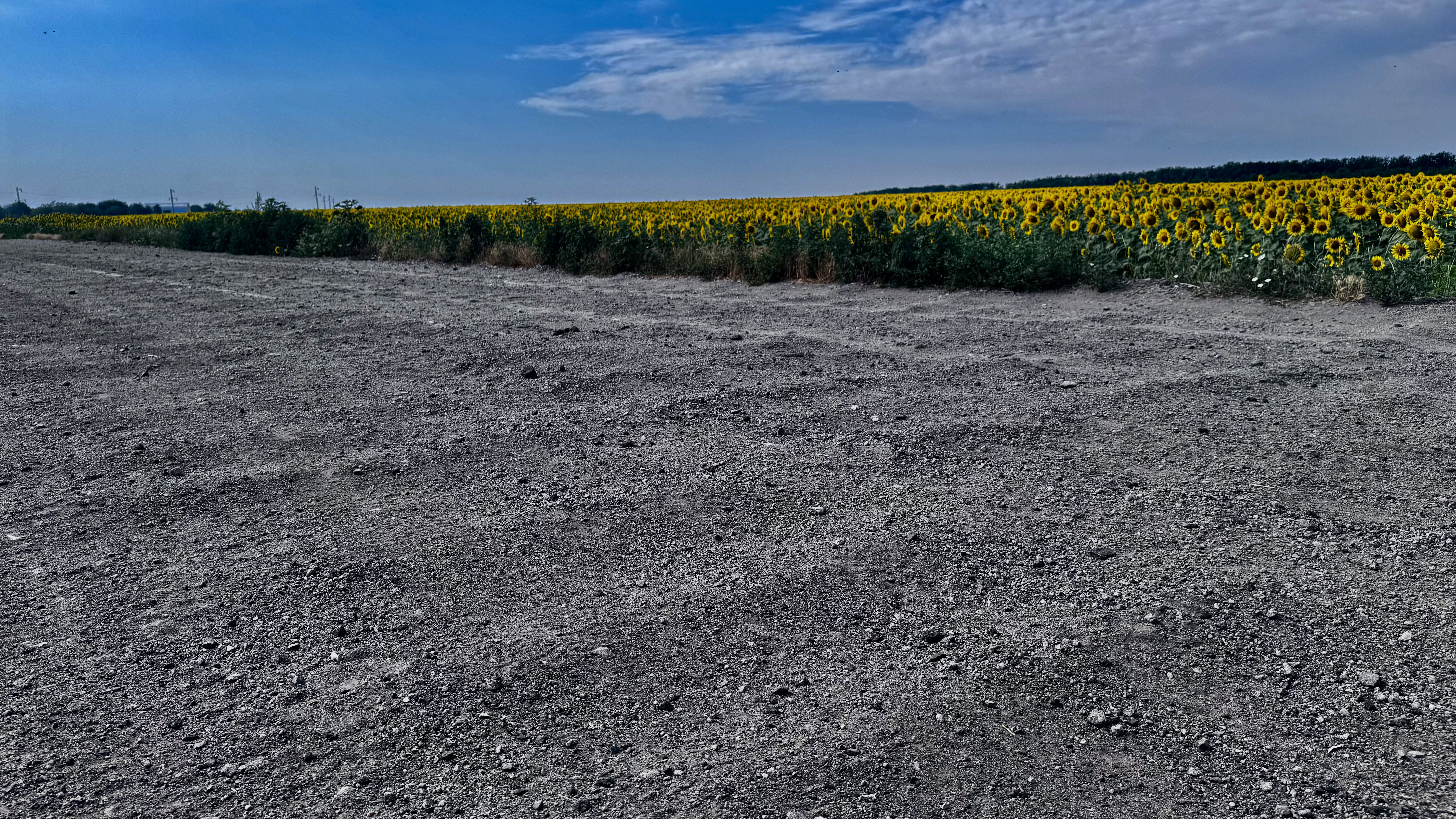 Пʼять мільйонів в пил: після ремонту дороги Тернувате – Косівцеве селяни їздять в об’їзд