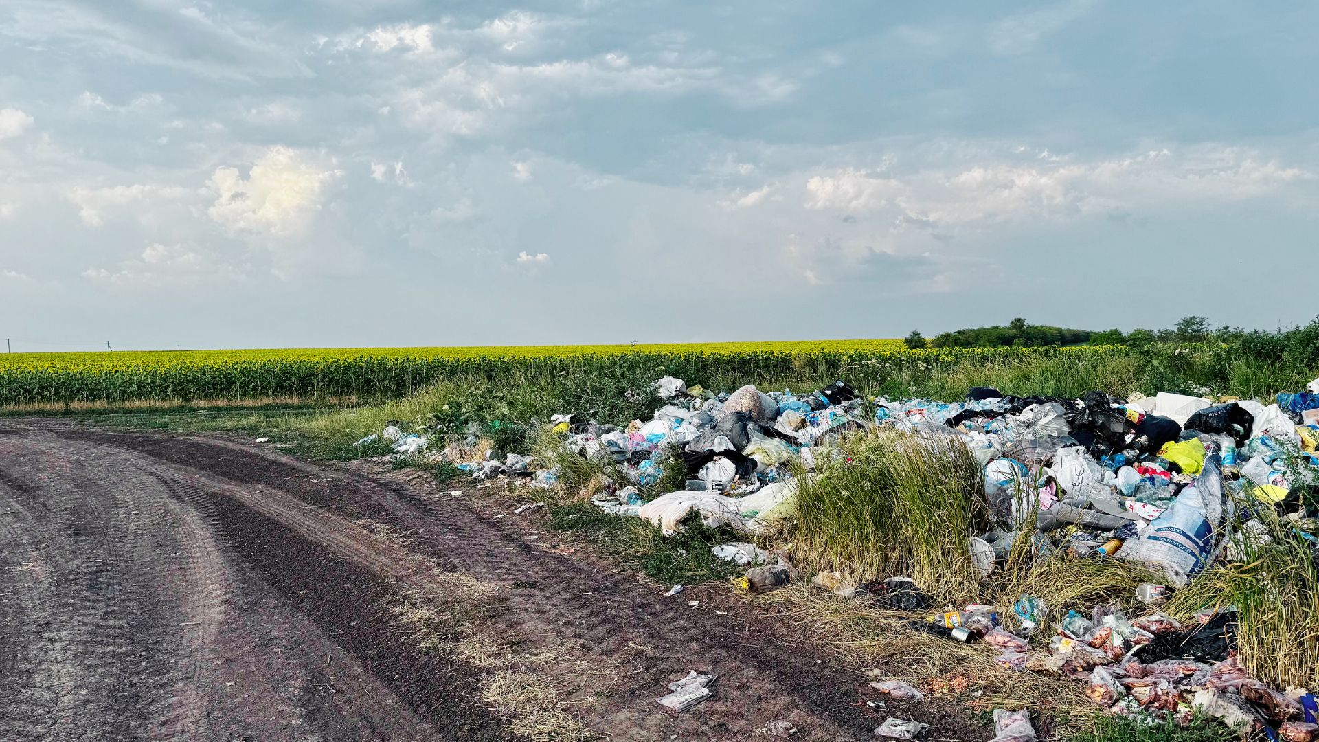 Пів мільярда збитків: чому стихійні сміттєзвалища стали системною проблемою