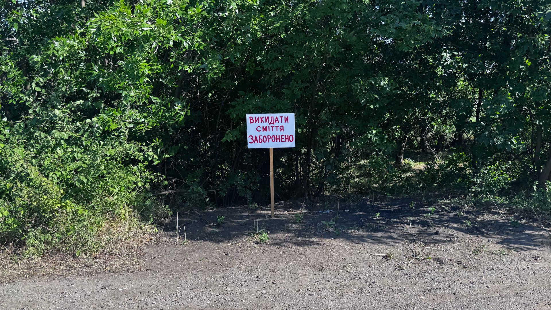 Пів мільярда збитків: чому стихійні сміттєзвалища стали системною проблемою