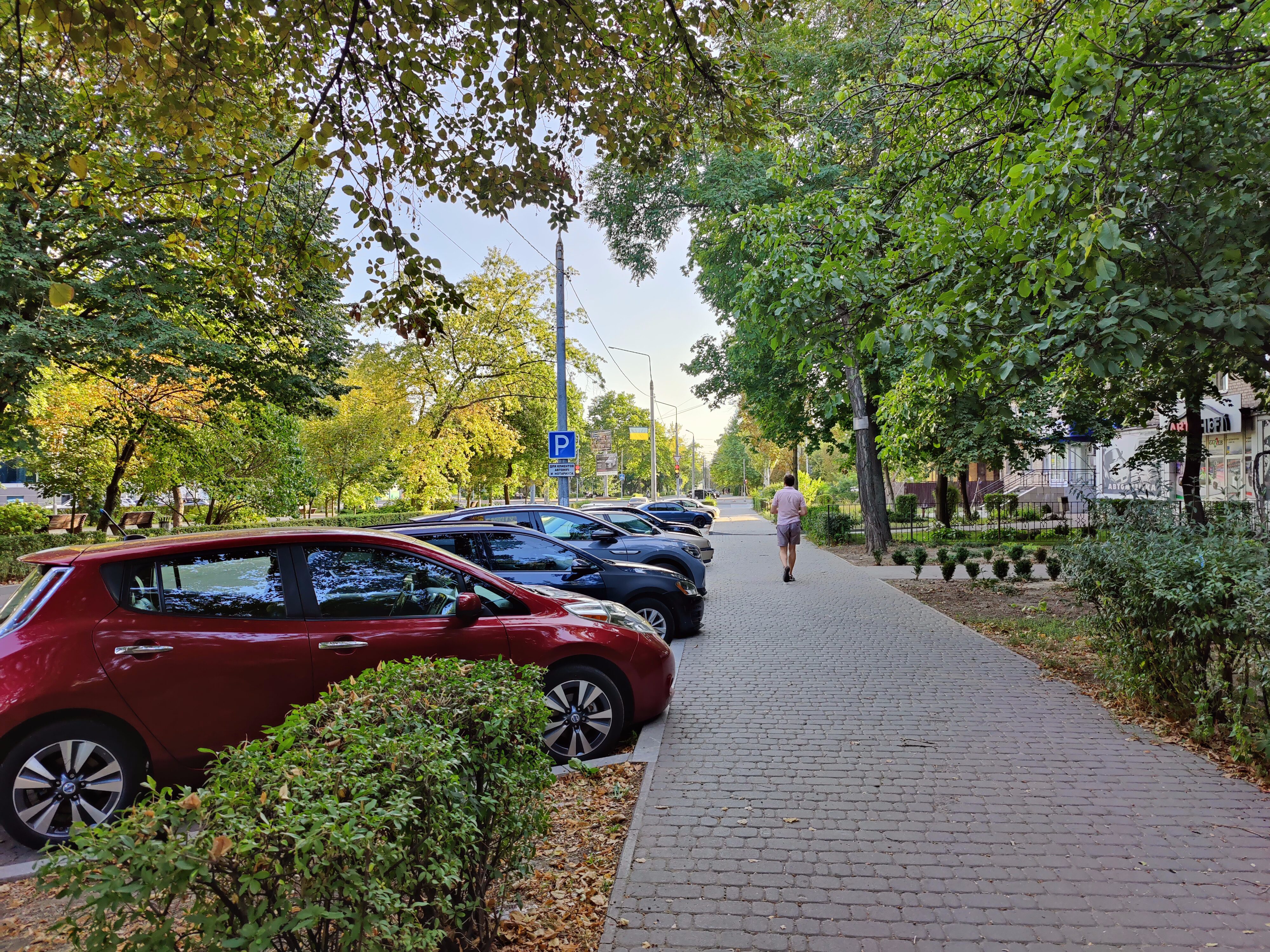 «Приватні» парковки біля закладів: що каже закон і хто має контролювати ситуацію в Запоріжжі