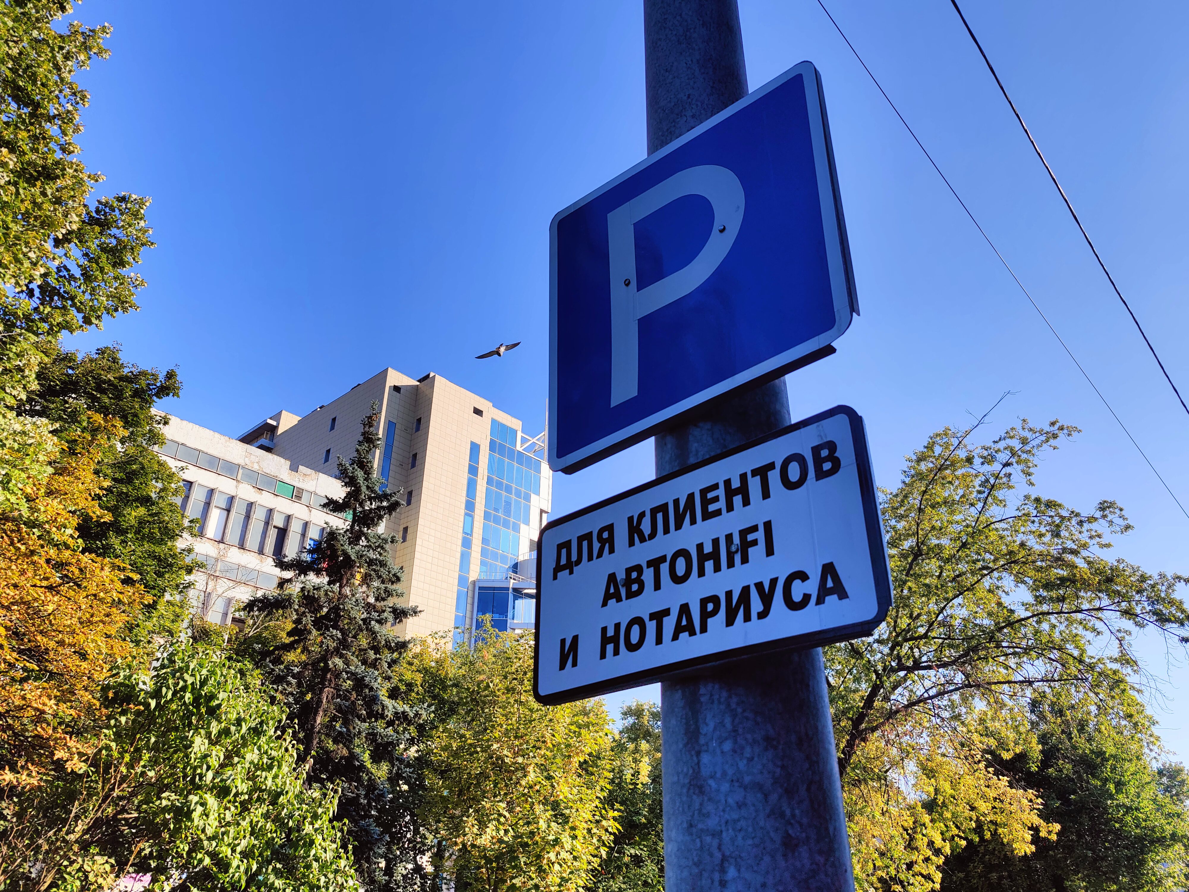 «Приватні» парковки біля закладів: що каже закон і хто має контролювати ситуацію в Запоріжжі